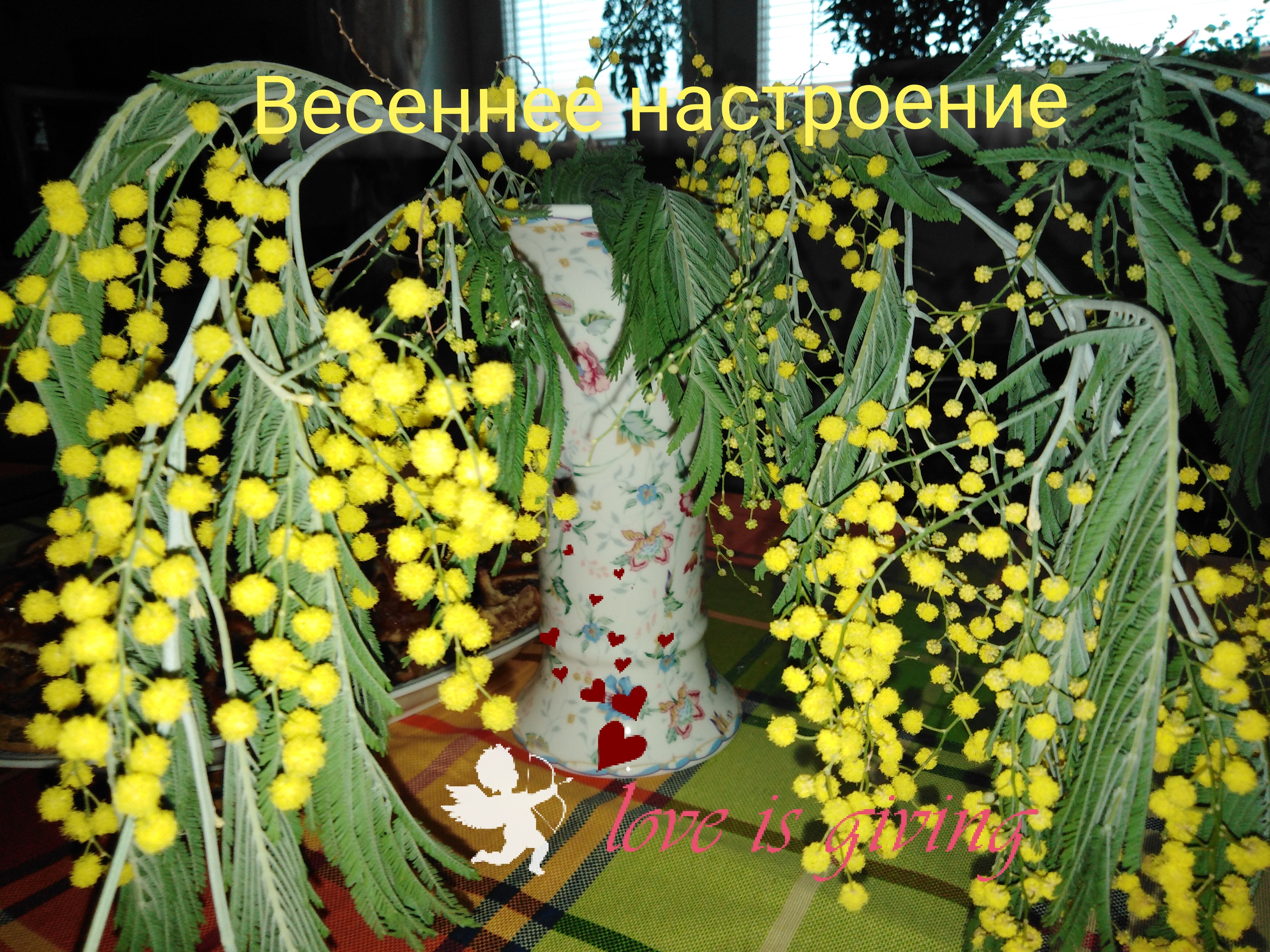Полунина Ирина Германовна
