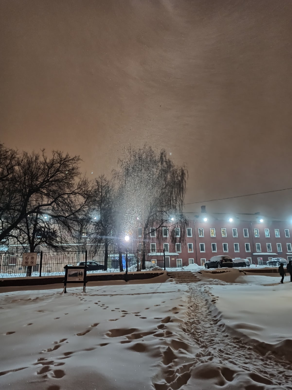 Ирина Петрова