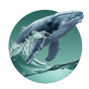 Обложка рубрики "Relax. Событие"