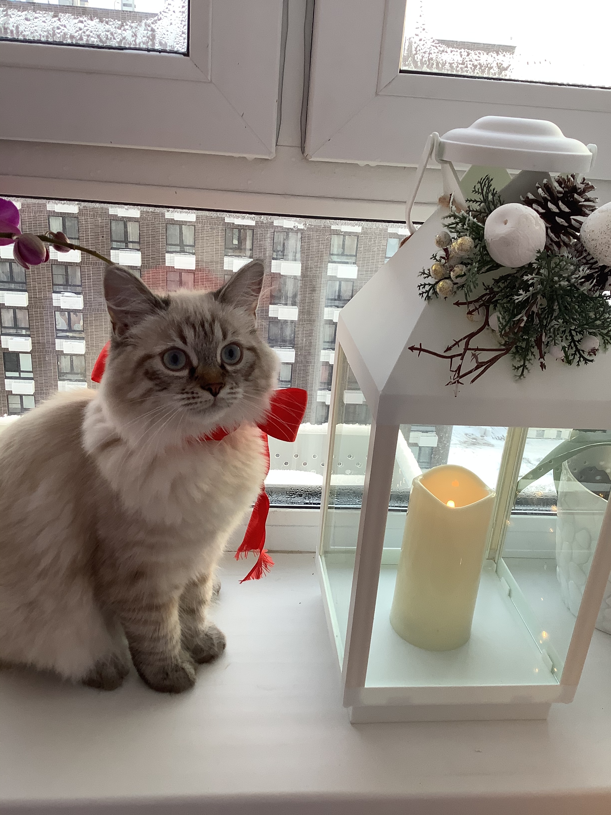 Фото участника: Виктория Щербакова