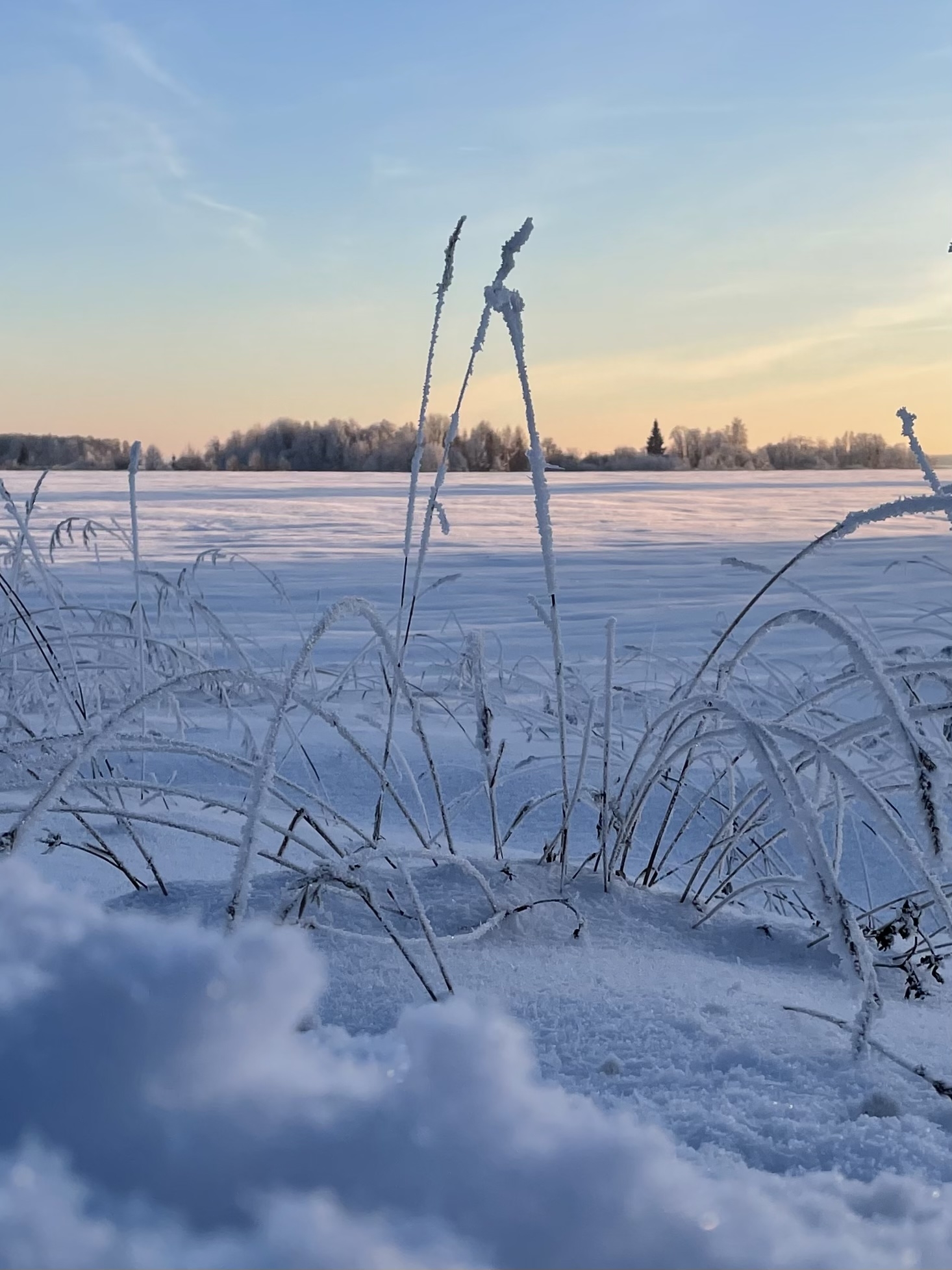 Фото участника: Ольга Иерусалимова