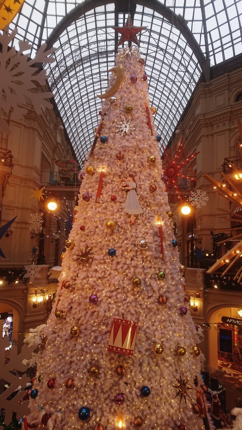 Фото участника: Марков Дмитрий