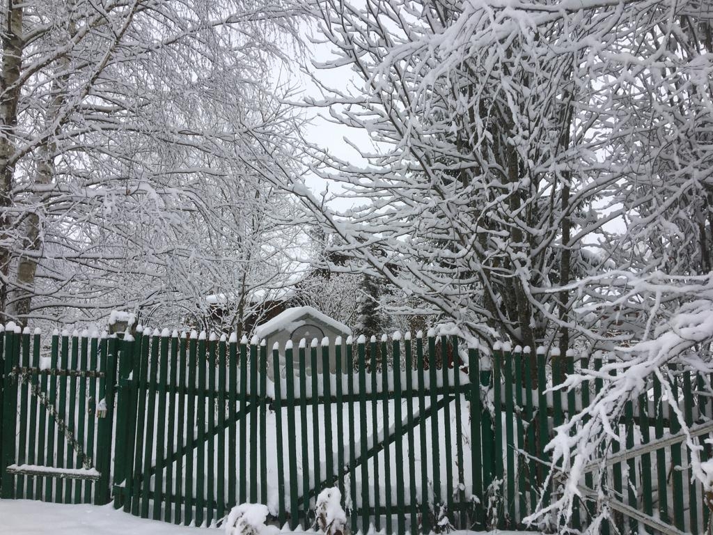 Фото участника: Ирина Ольшина