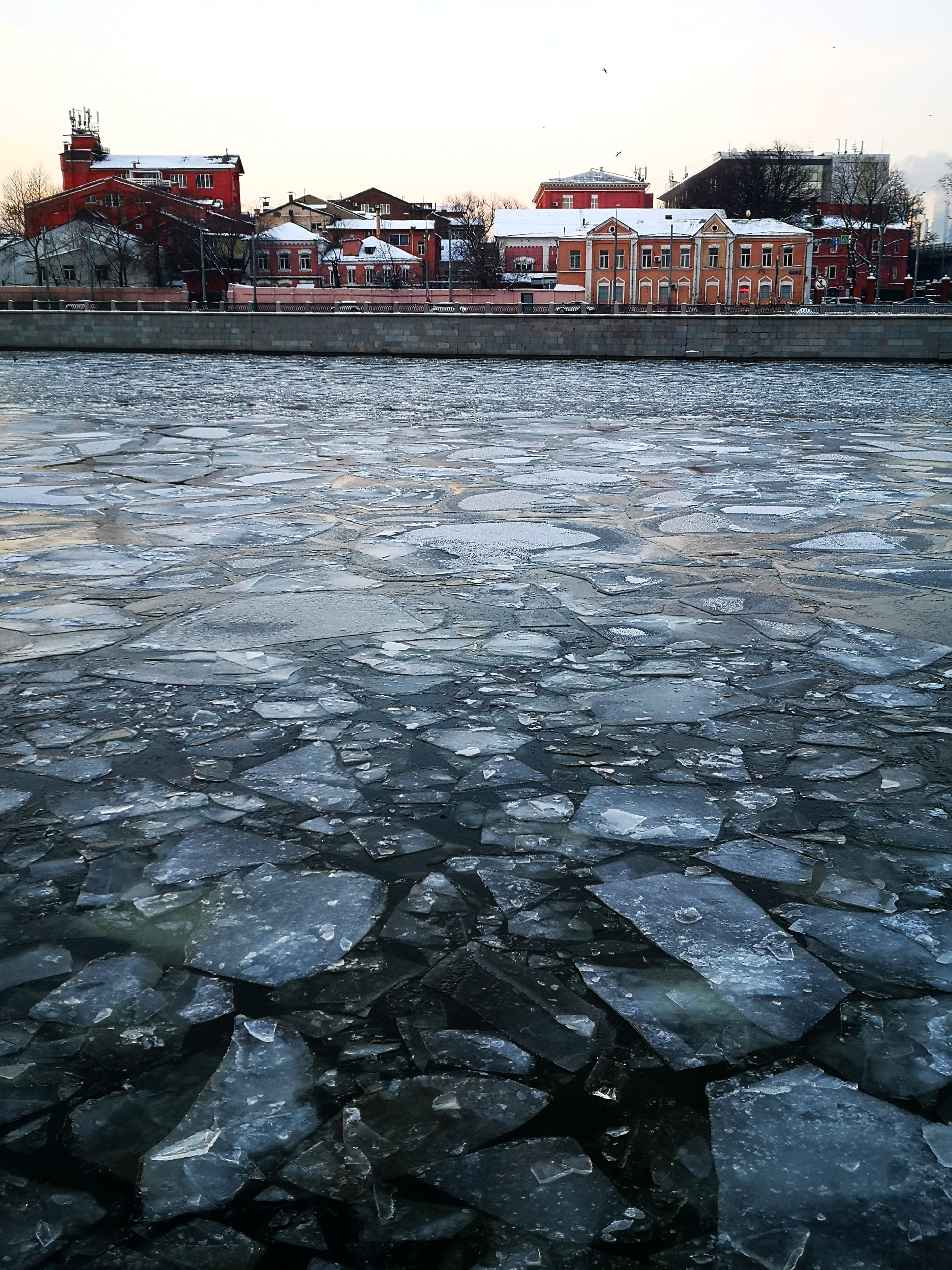 Фото участника: Ситникова Ольга Дмитриевна