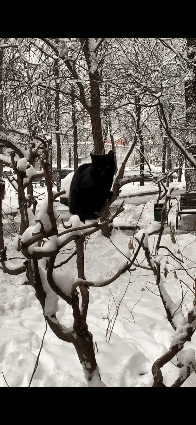 Фото участника: Сергей Ольшин