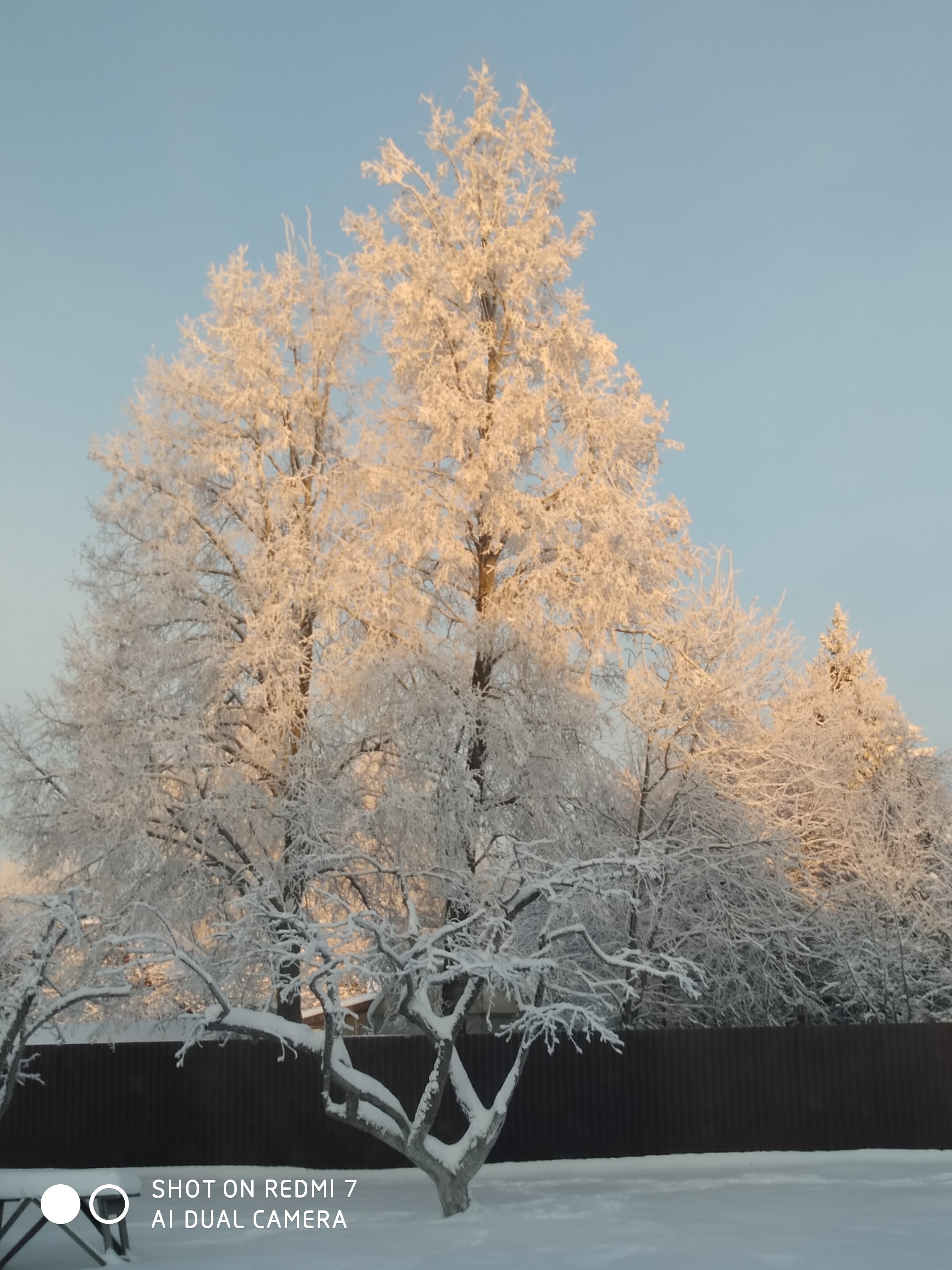 Фото участника: Марина Витальевна Лукьянова