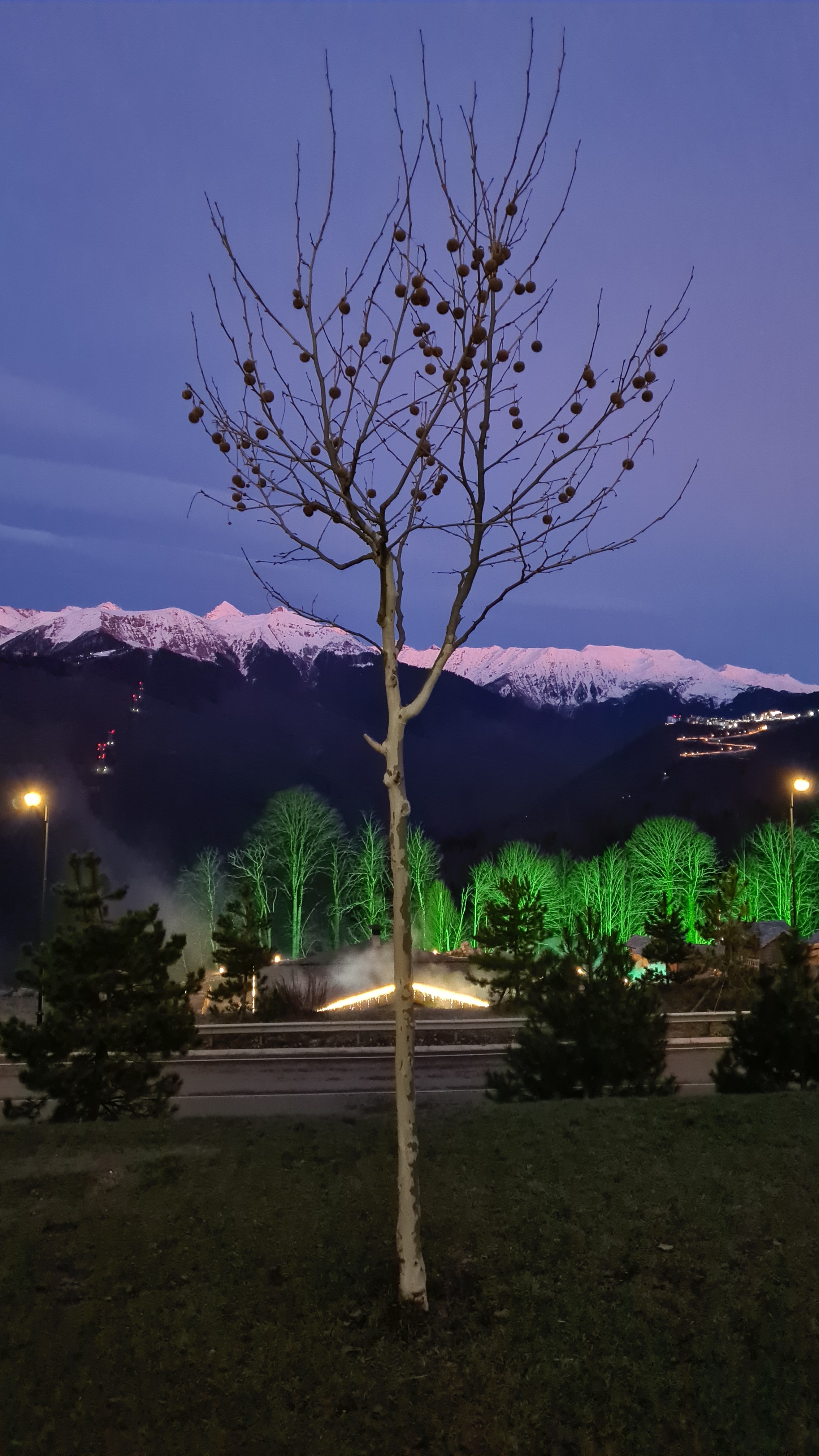 Фото участника: Виктория Семенова