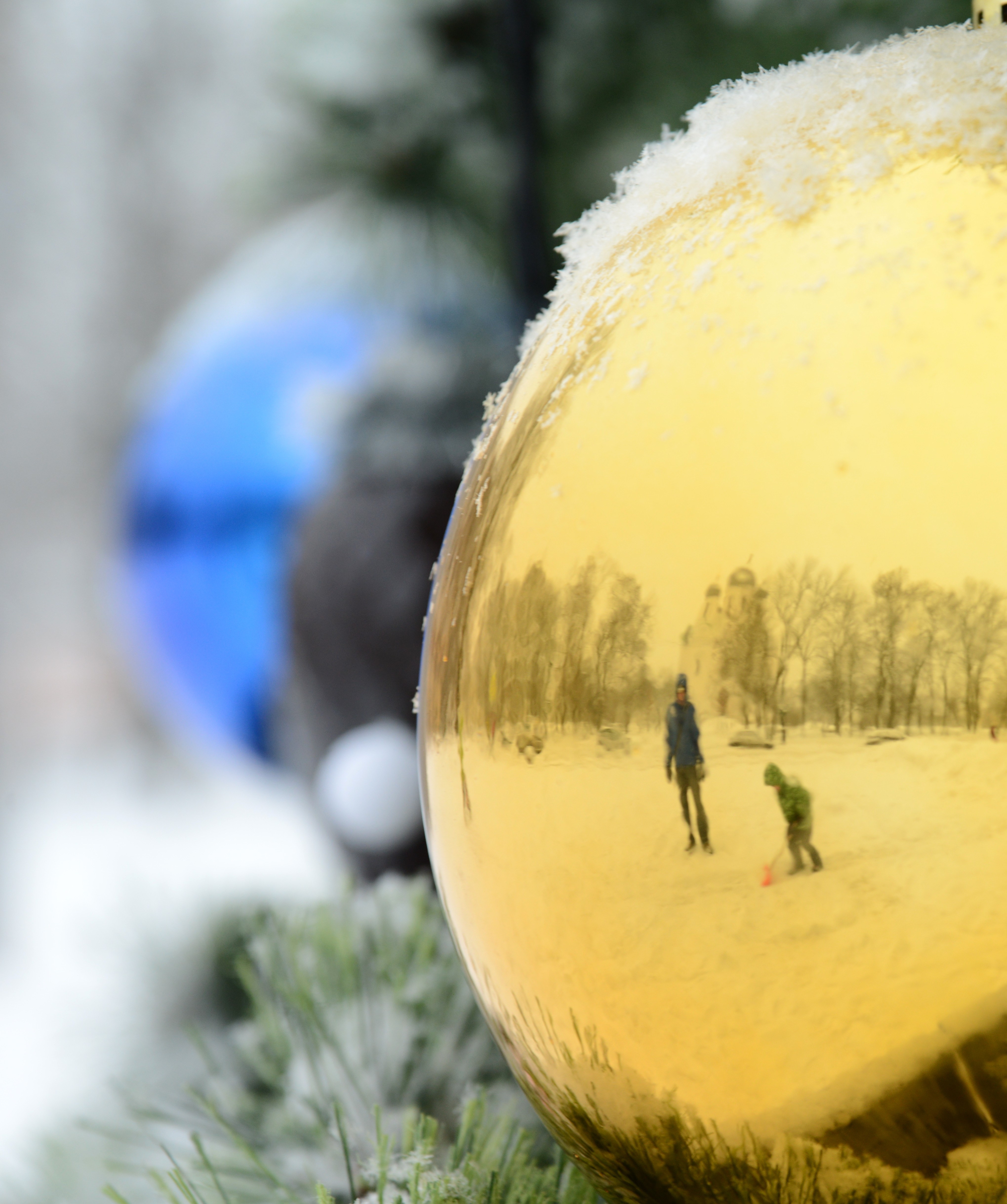 Фото участника: Головизнина Эльвира