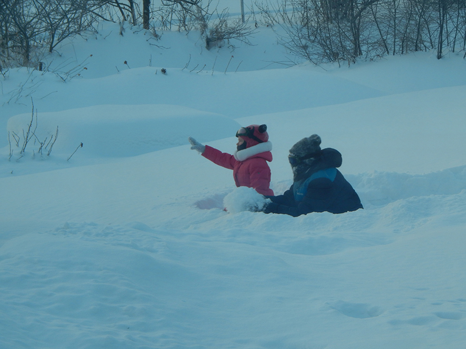 Фото участника: Медведева Лариса