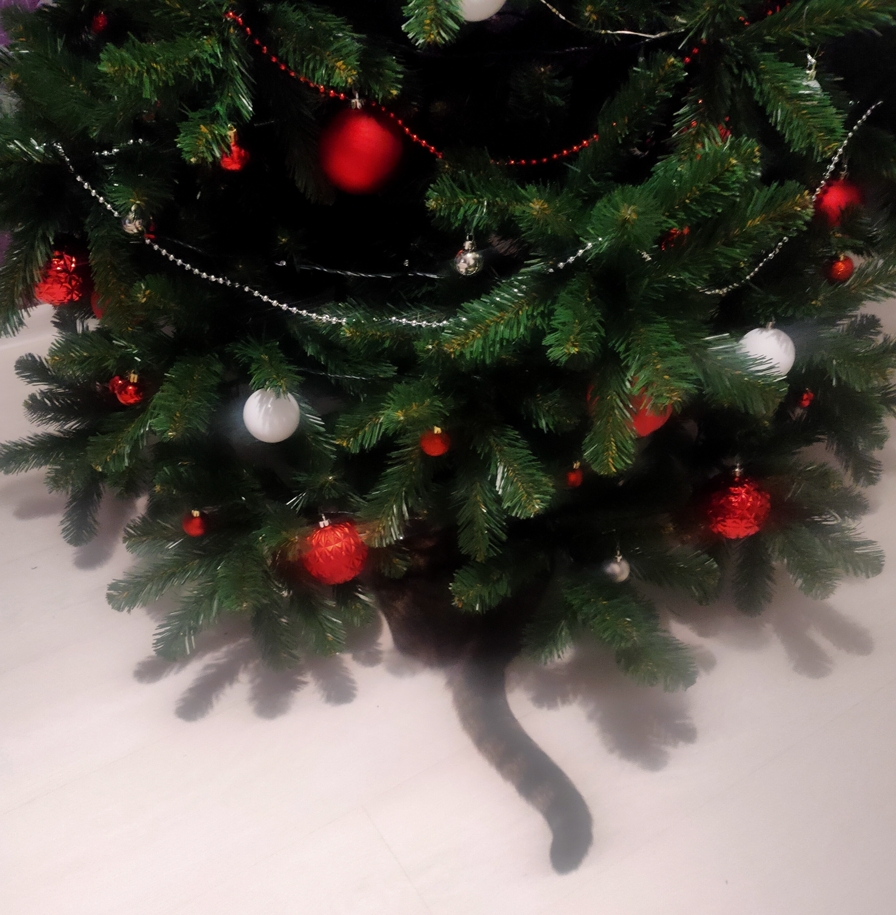 Фото участника: Татьяна Парчайкина