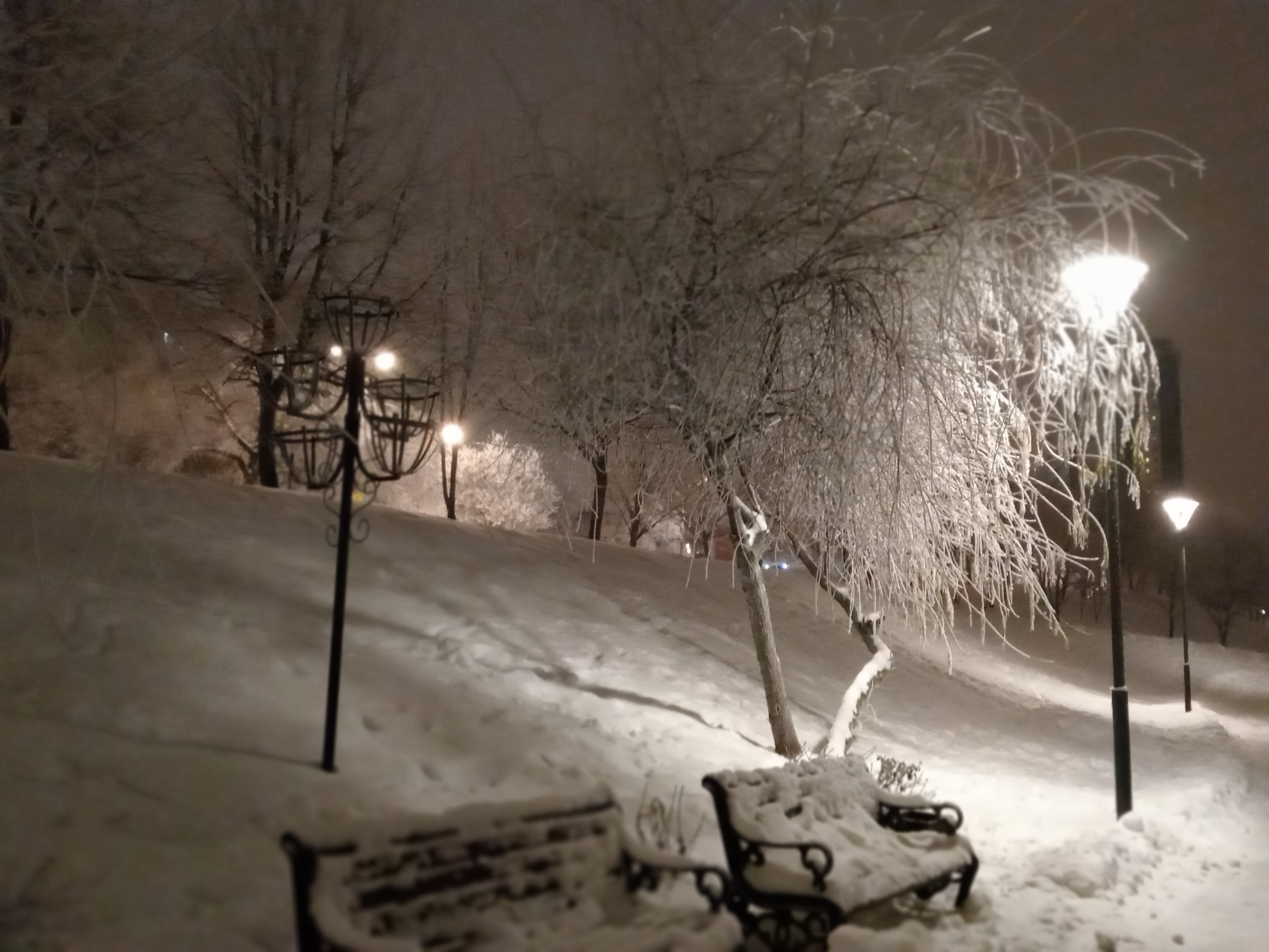 Фото участника: Новрузова Гюльнара