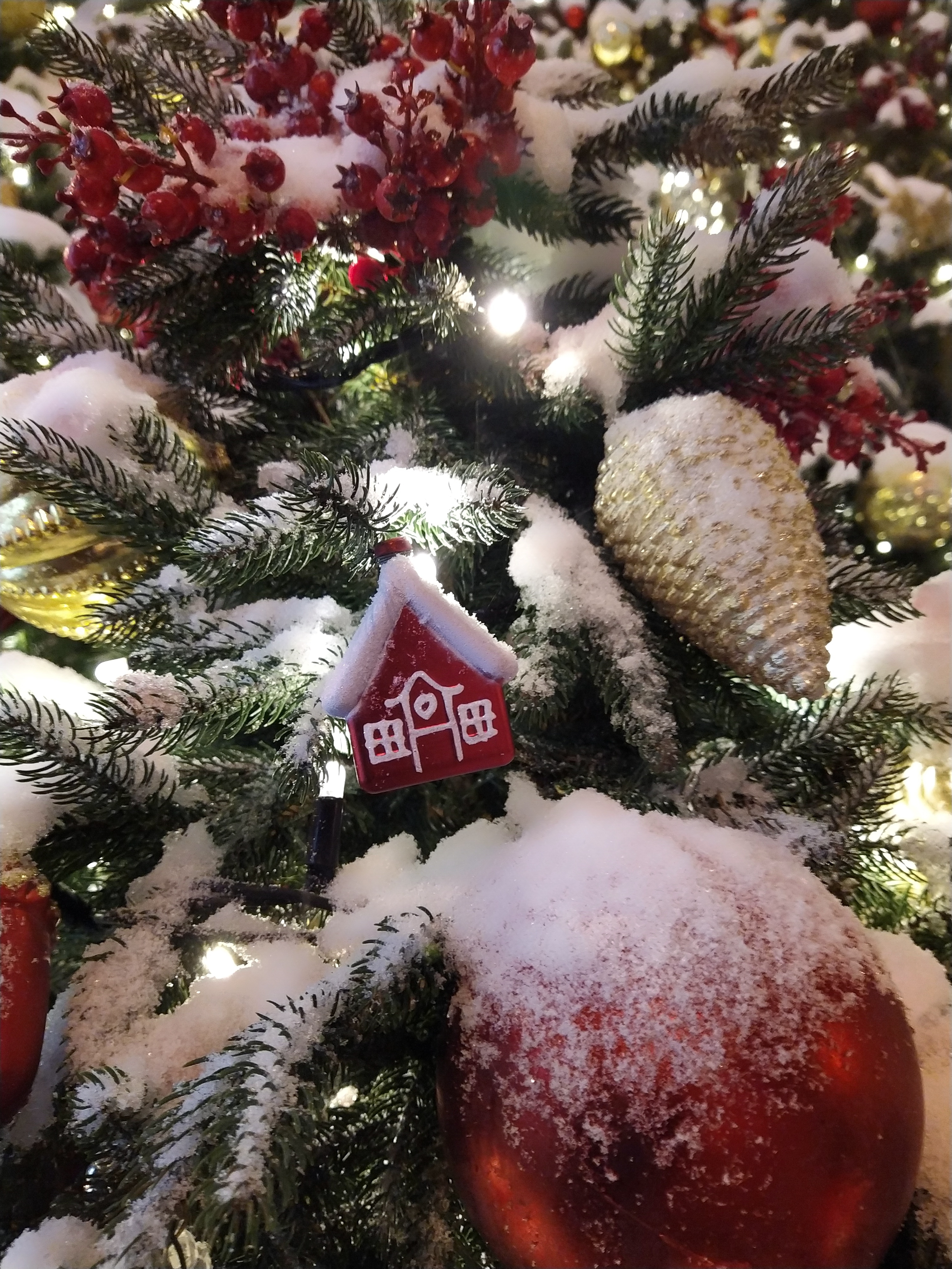 Фото участника: Ольга Агуреева