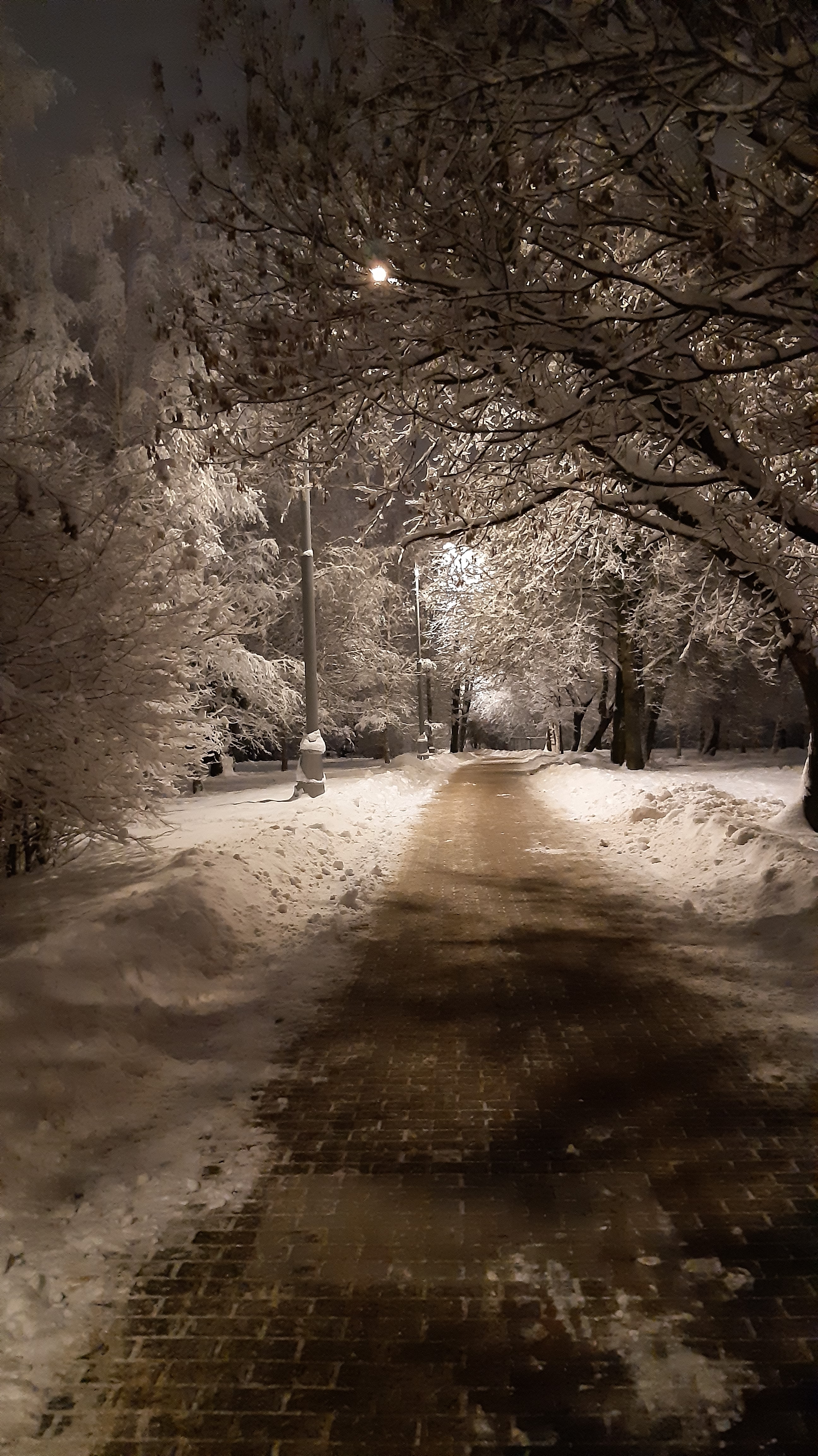 Фото участника: Шупикова Елена