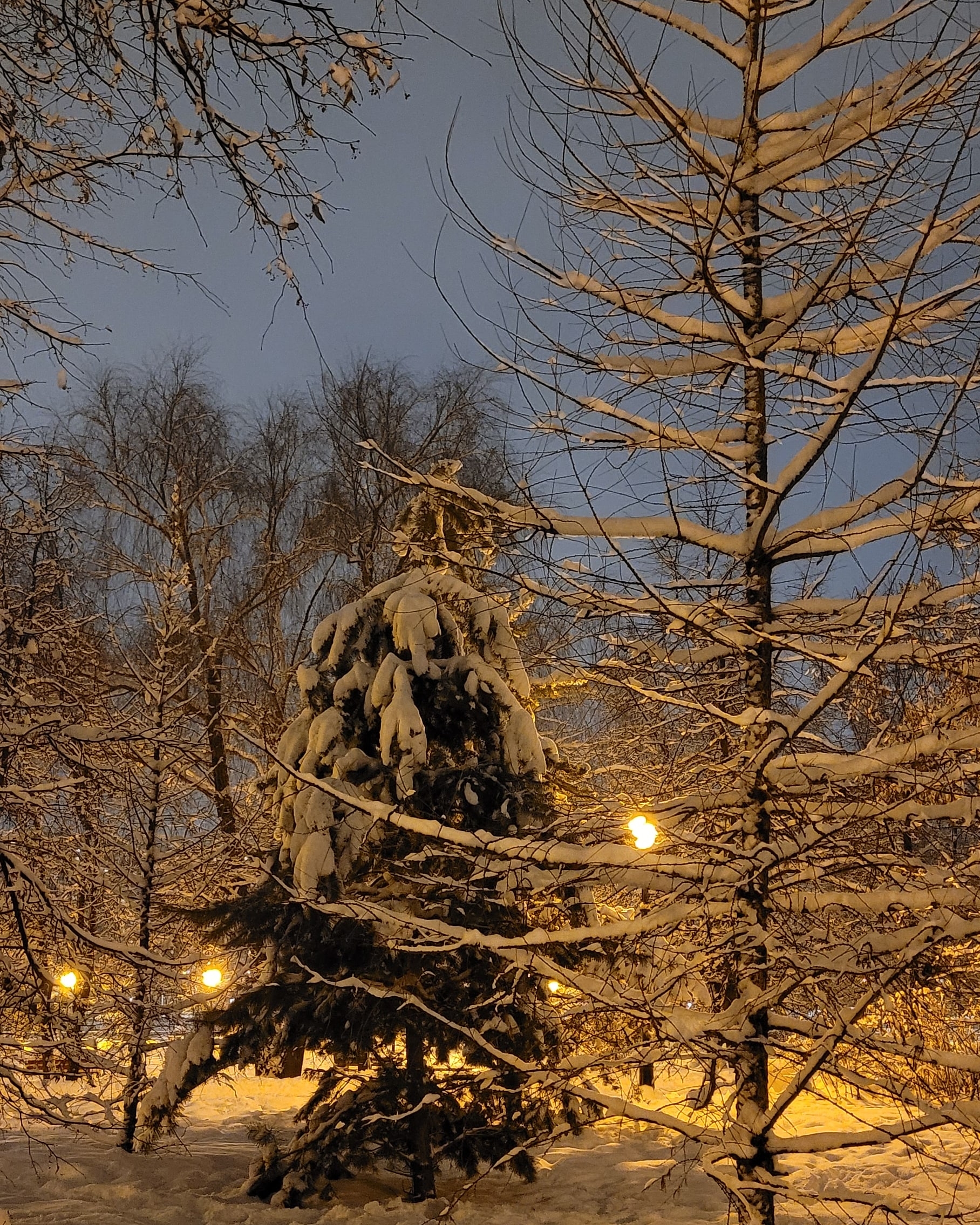 Фото участника: Петровичева Татьяна