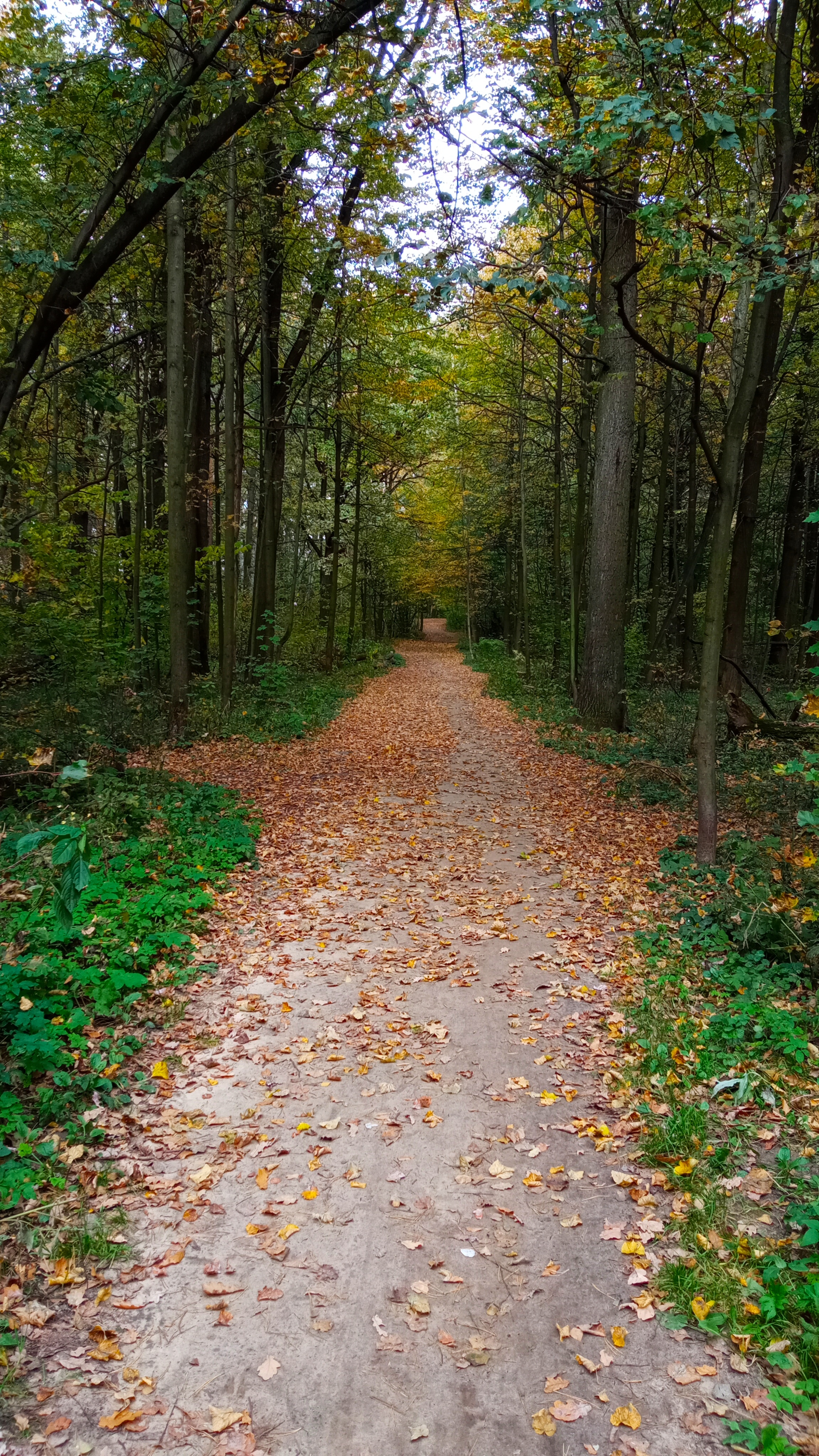 Фото участника: Яна Низова