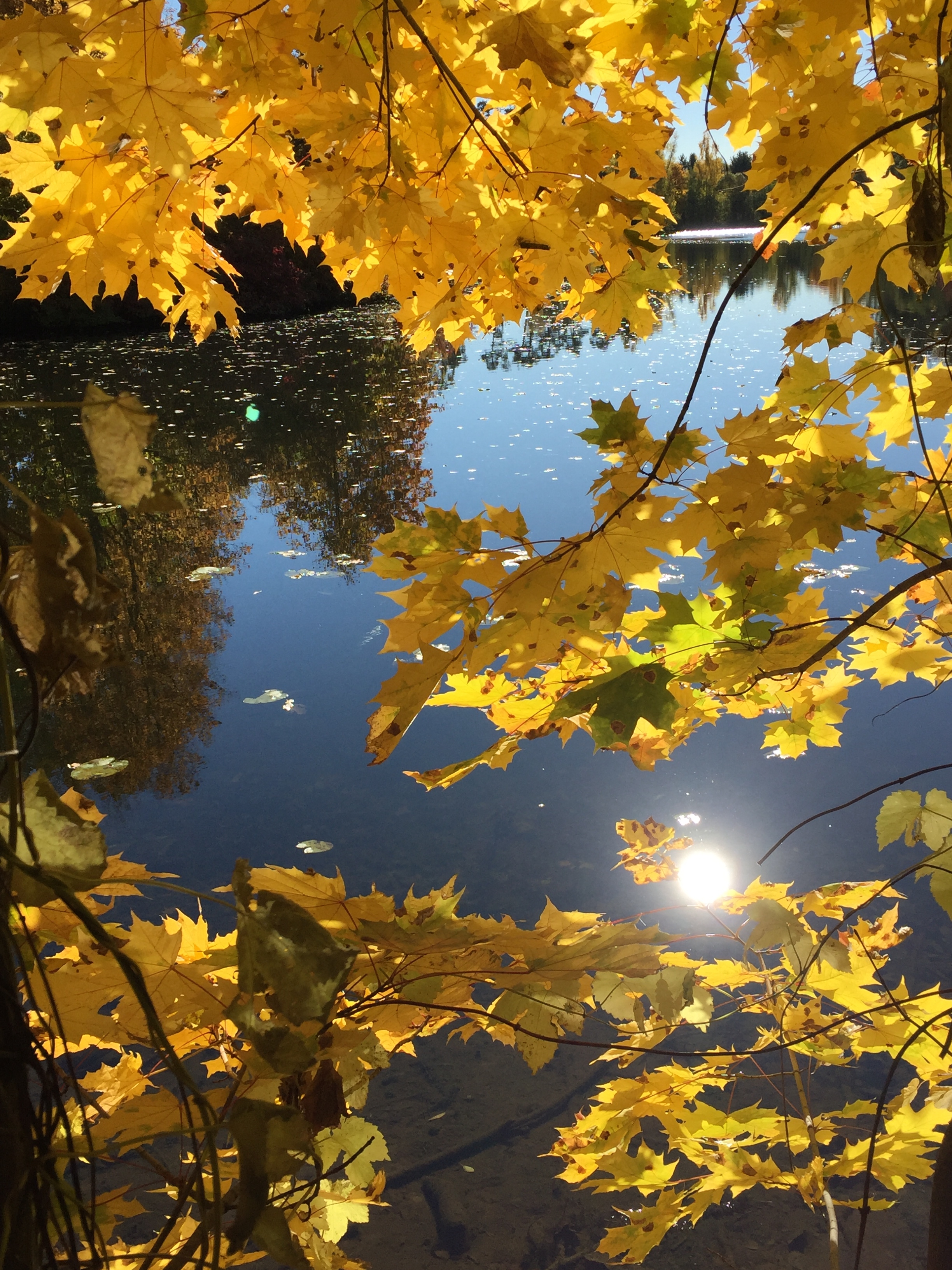 Фото участника: Сайфуллина Любовь