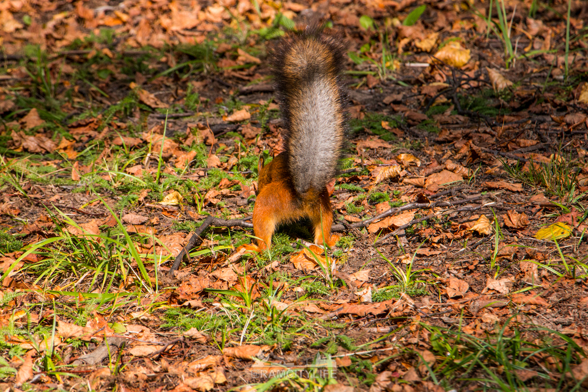 Фото участника: Чуфаровский Александр