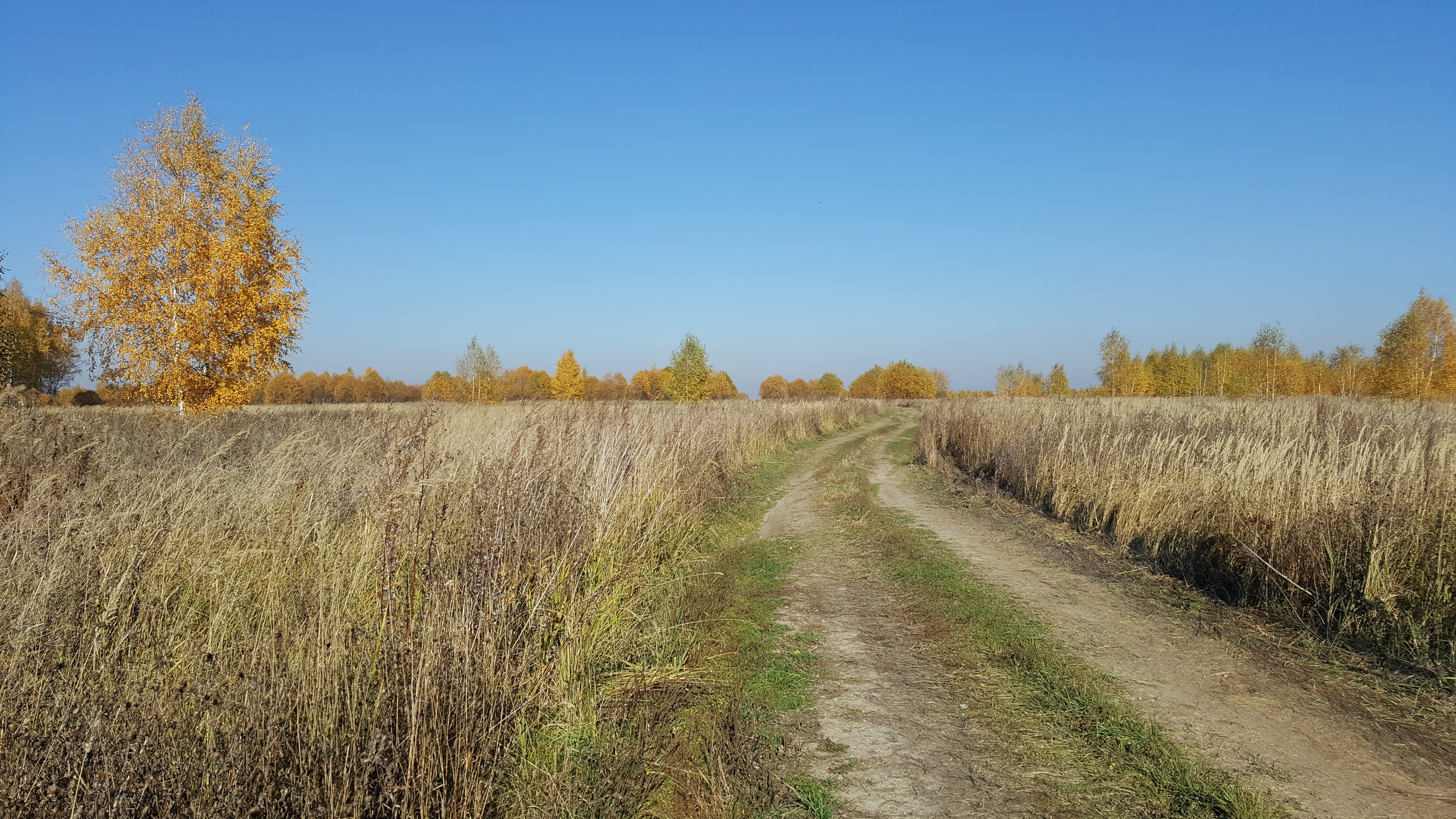 Фото участника: Владимир Тимошков