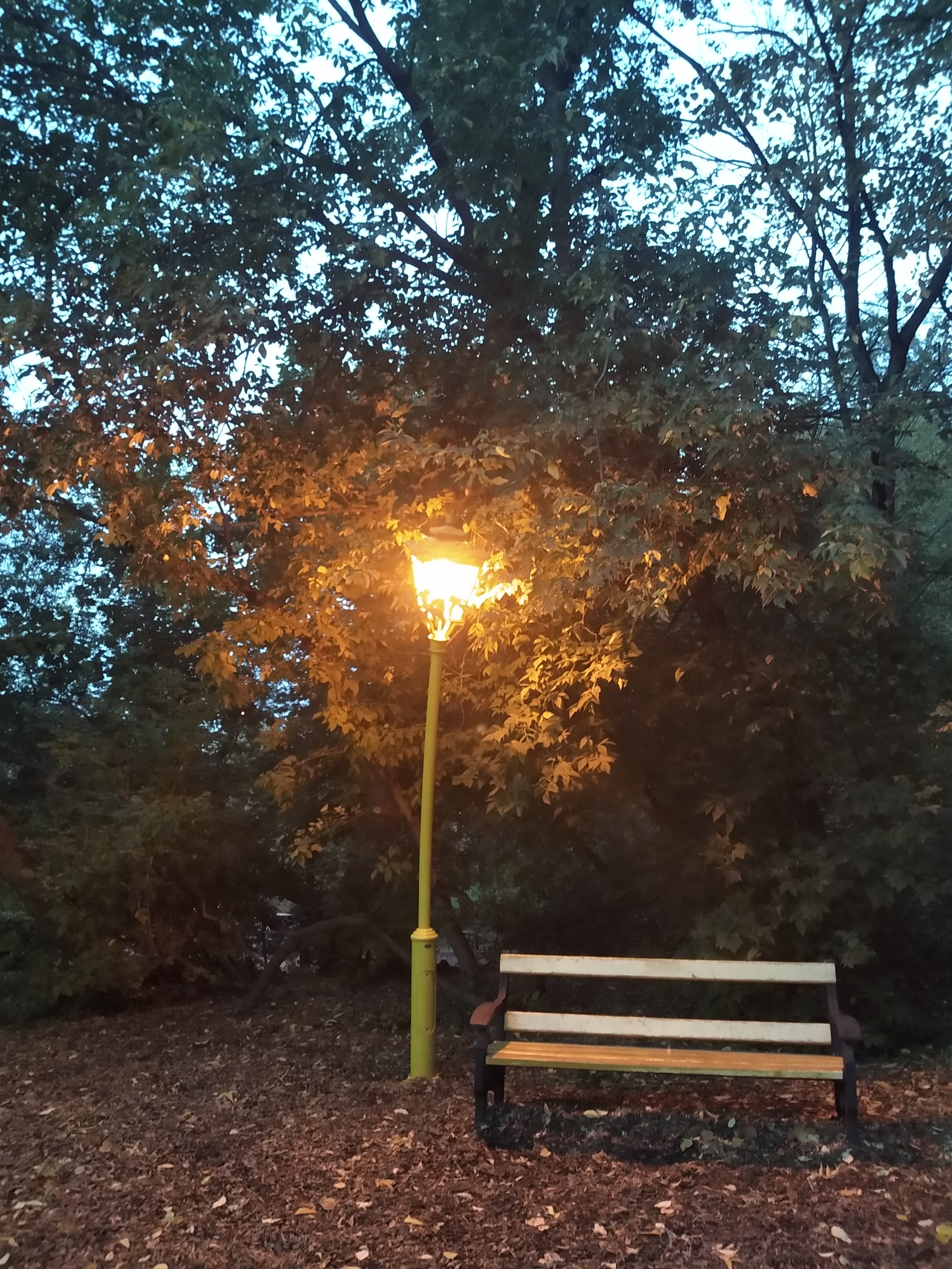 Фото участника: Шульженко Екатерина