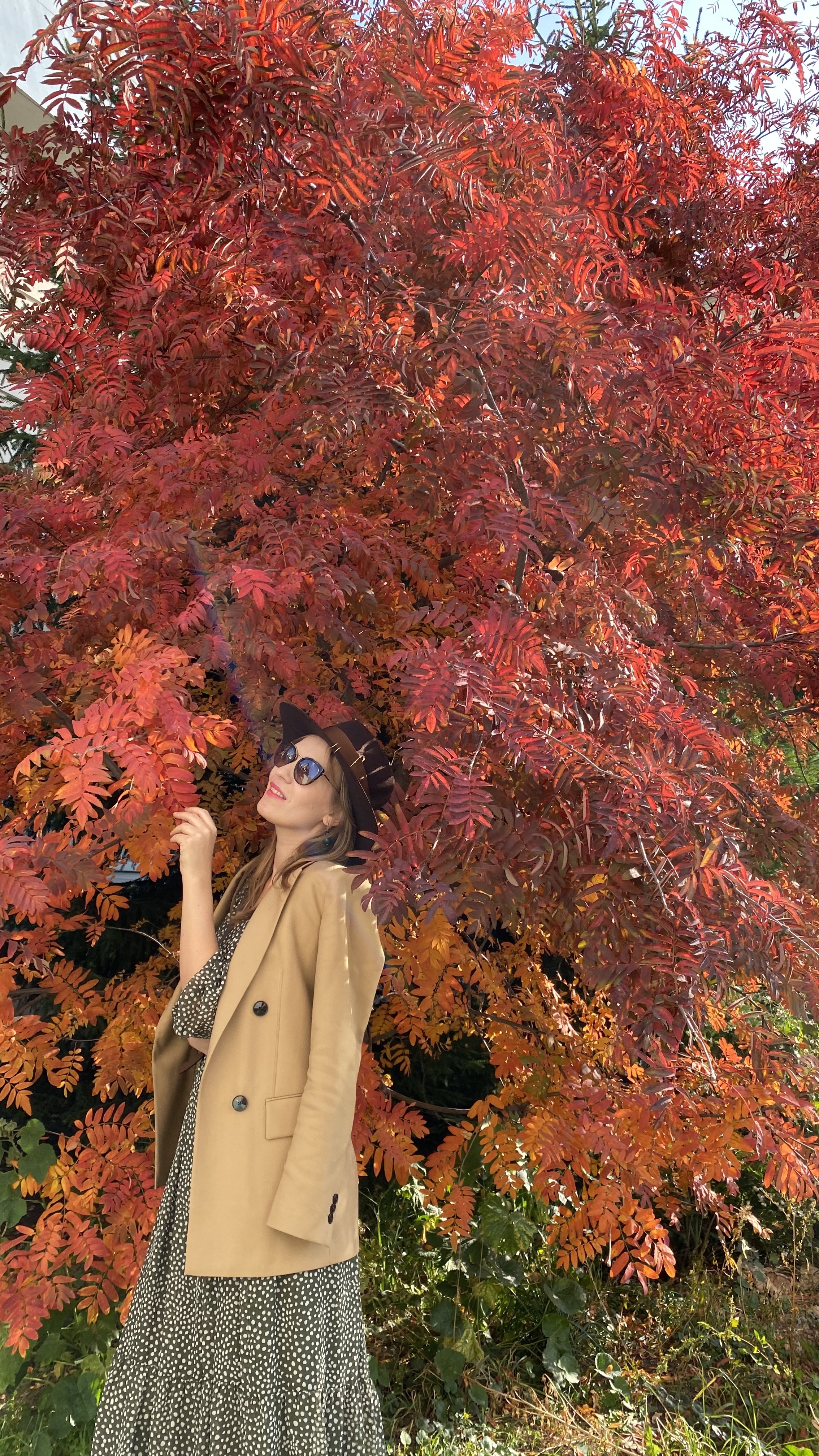 Фото участника: Анастасия Михайлова