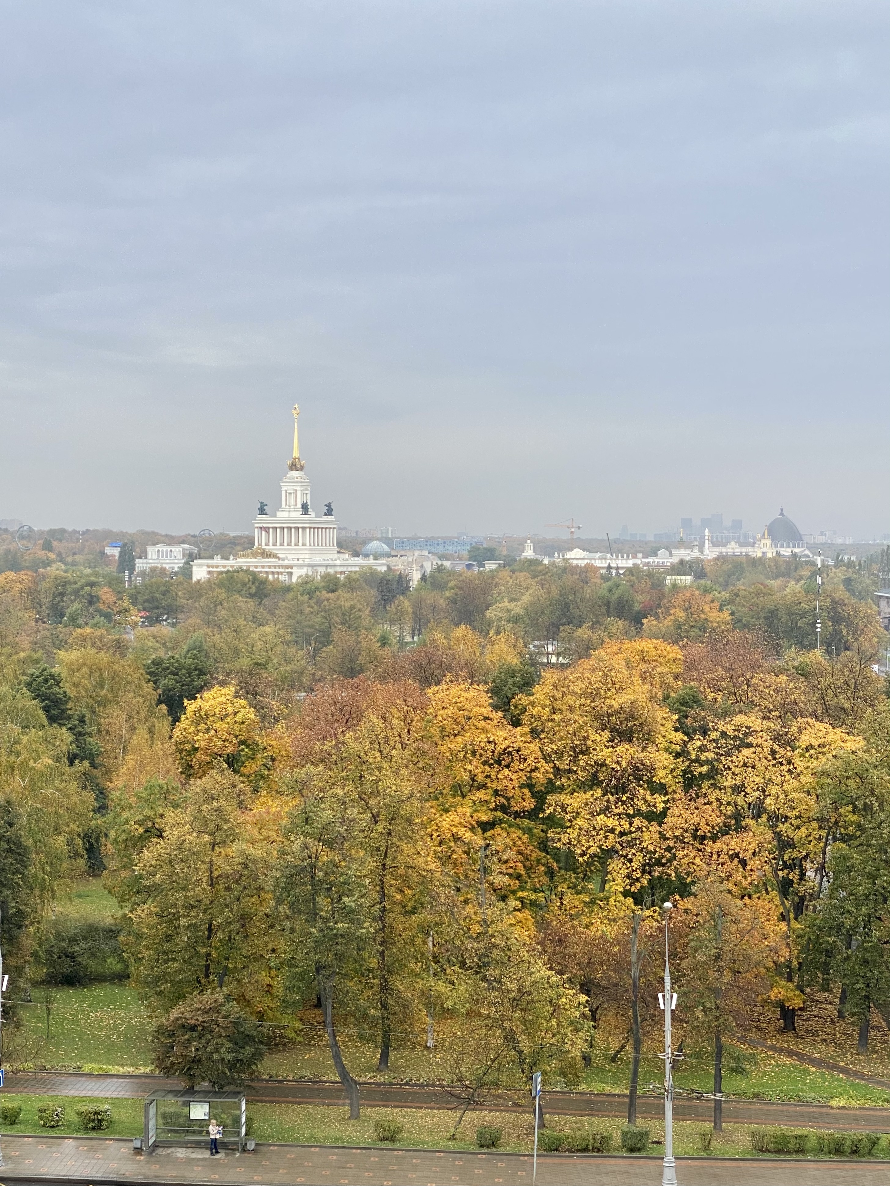 Фото участника: Дарья Криницкая