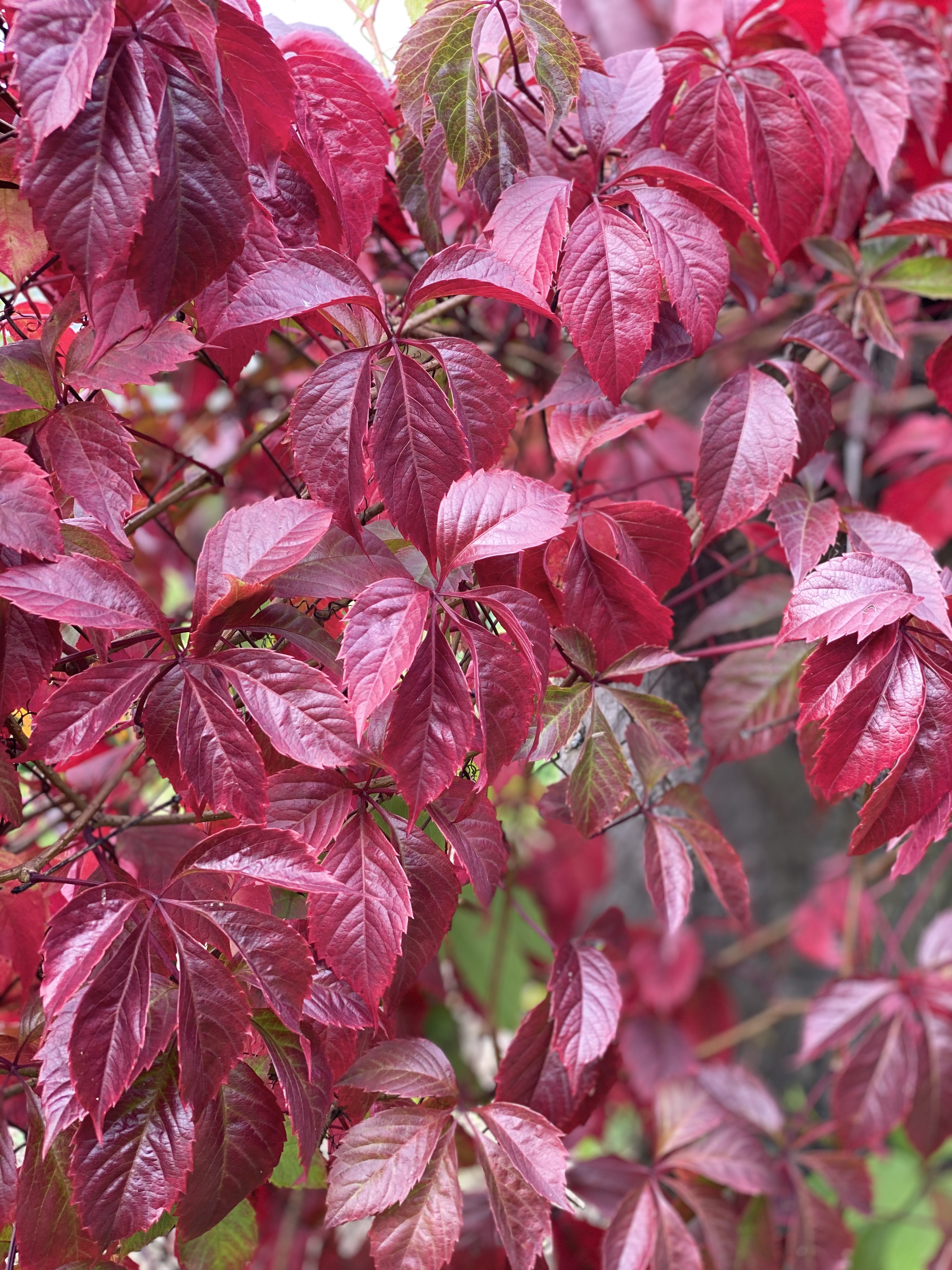 Фото участника: Игорь Глазов