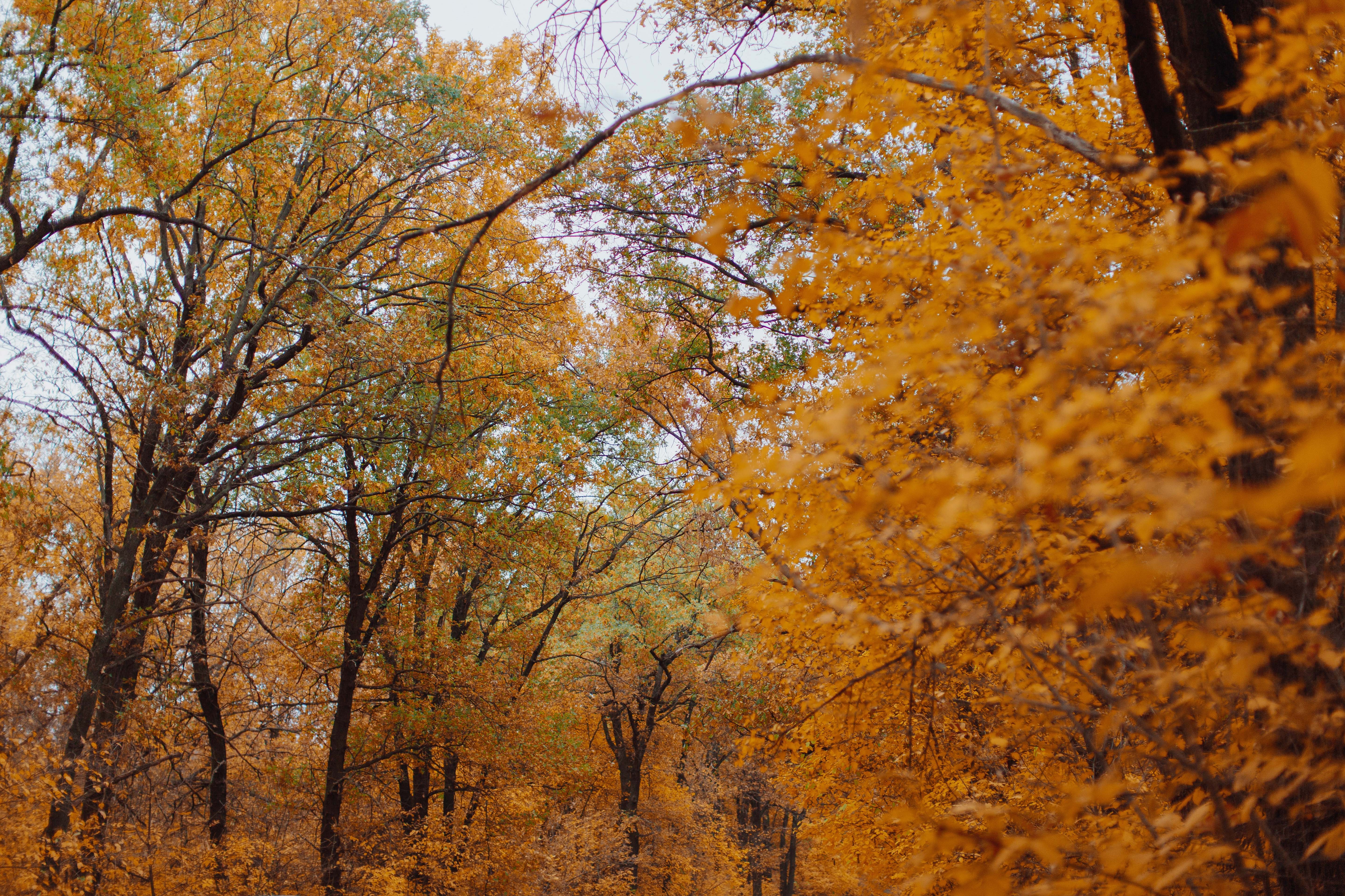 Фото участника: Илья Попенко