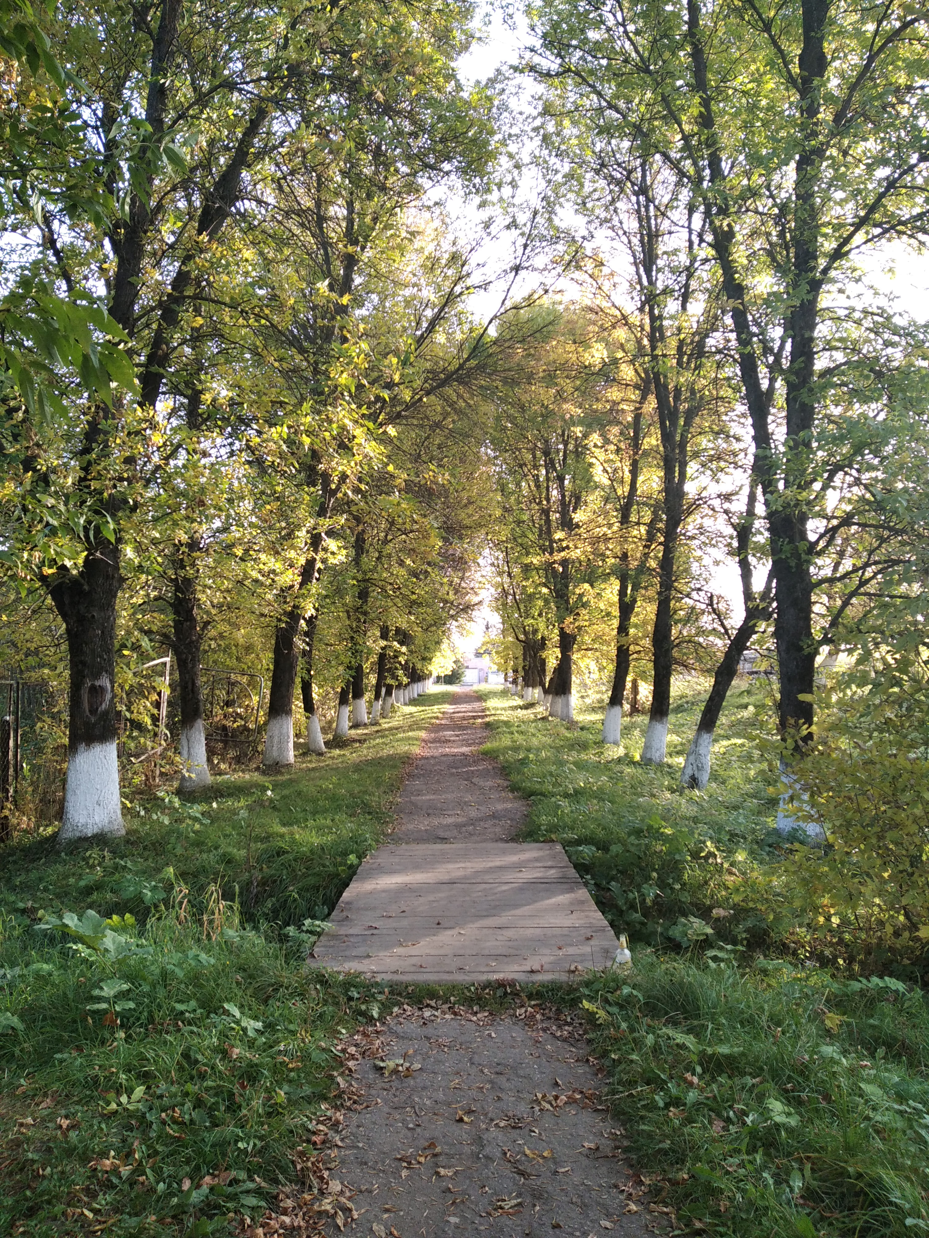 Фото участника: Наталья Куликова