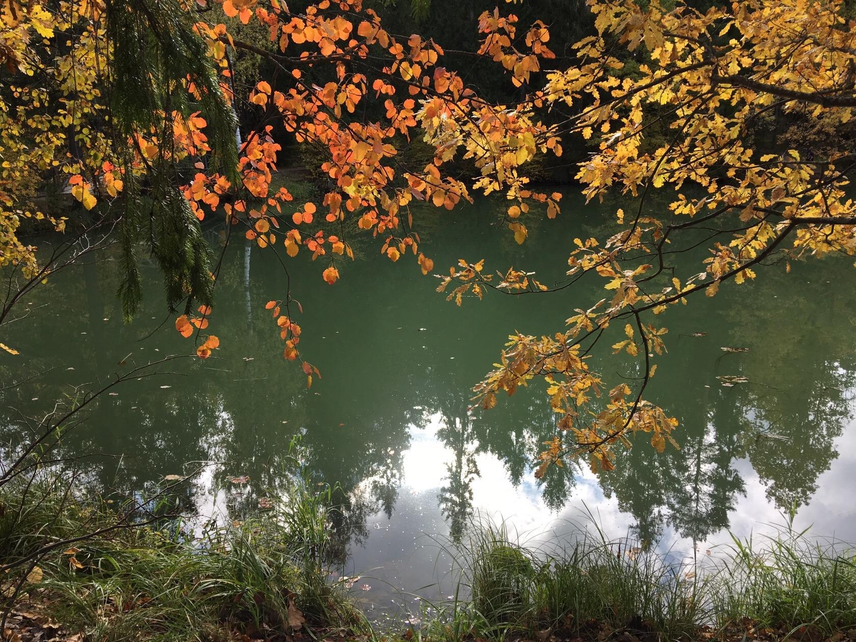 Фото участника: Алёна Рузанова