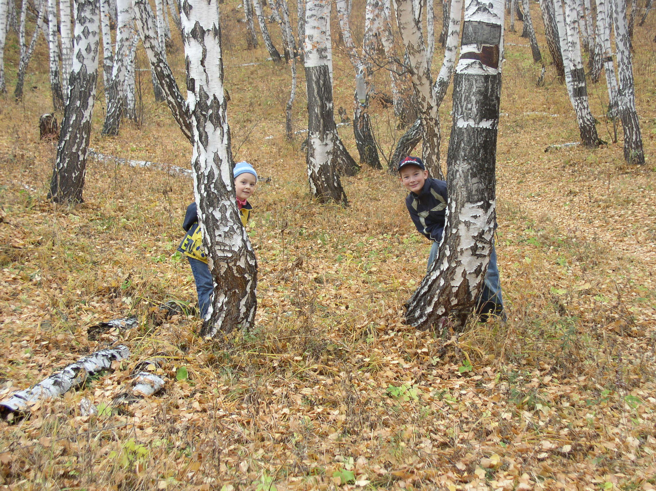 Фото участника: Мамонтова Светлана