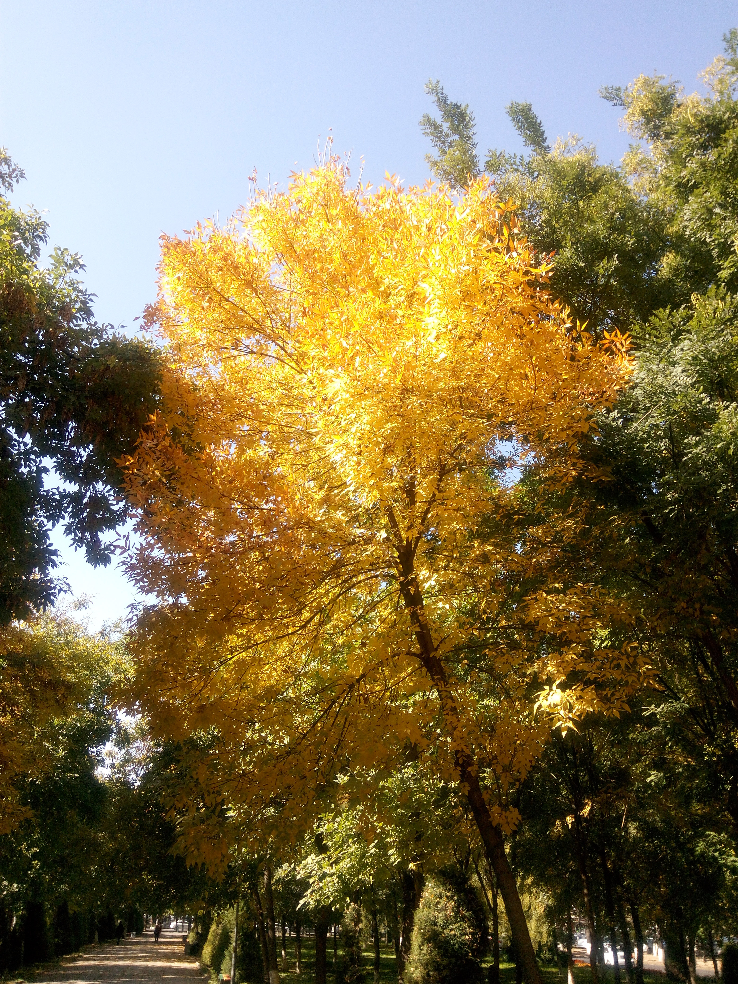 Фото участника: Игорь Козьмин