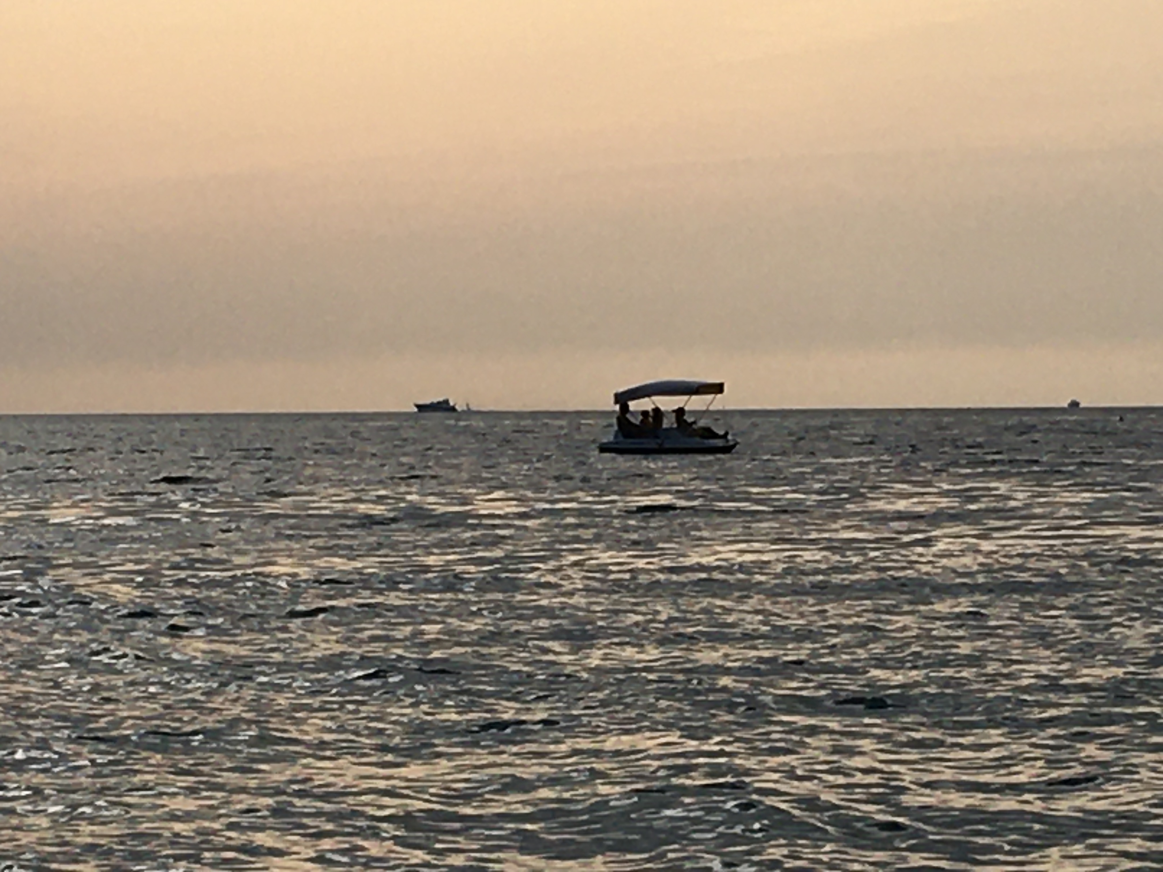 Фото участника: Губская татьяна