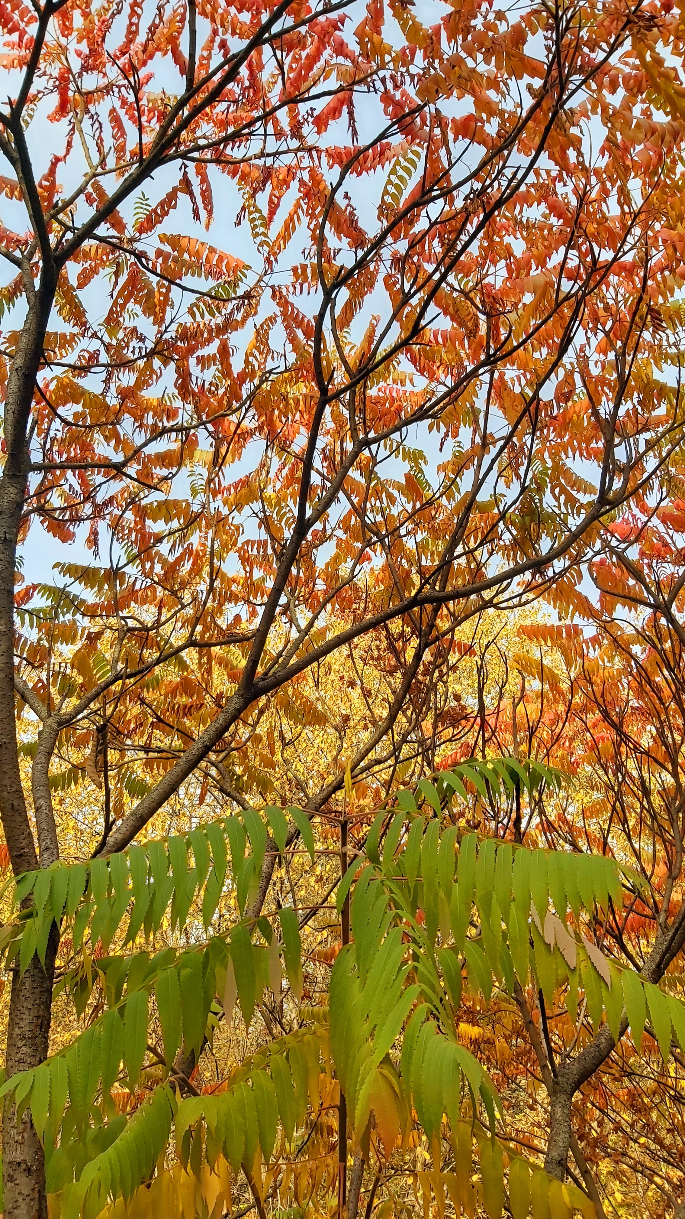 Фото участника: Мария Бычина