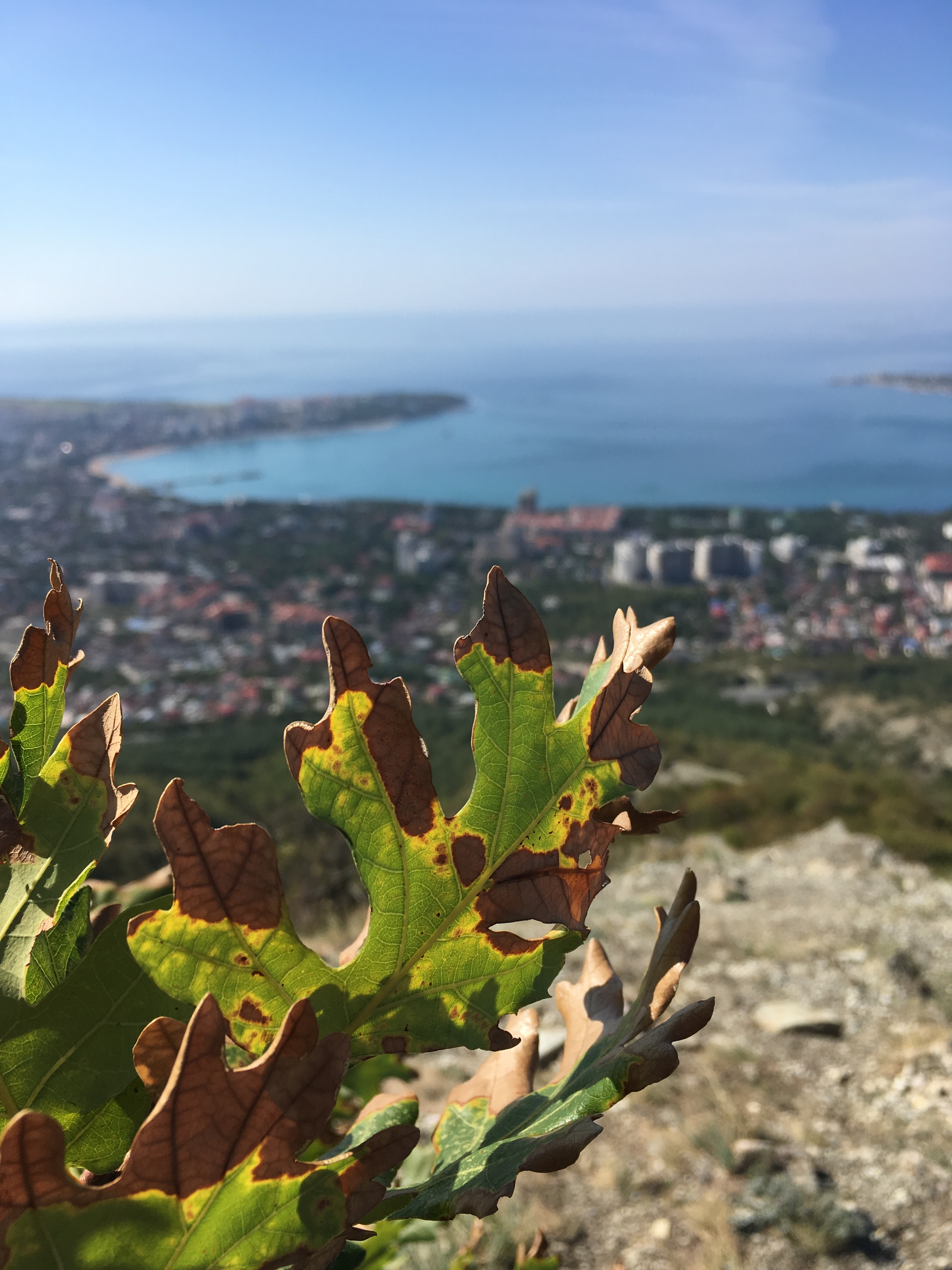 Фото участника: Яна Чебыкина