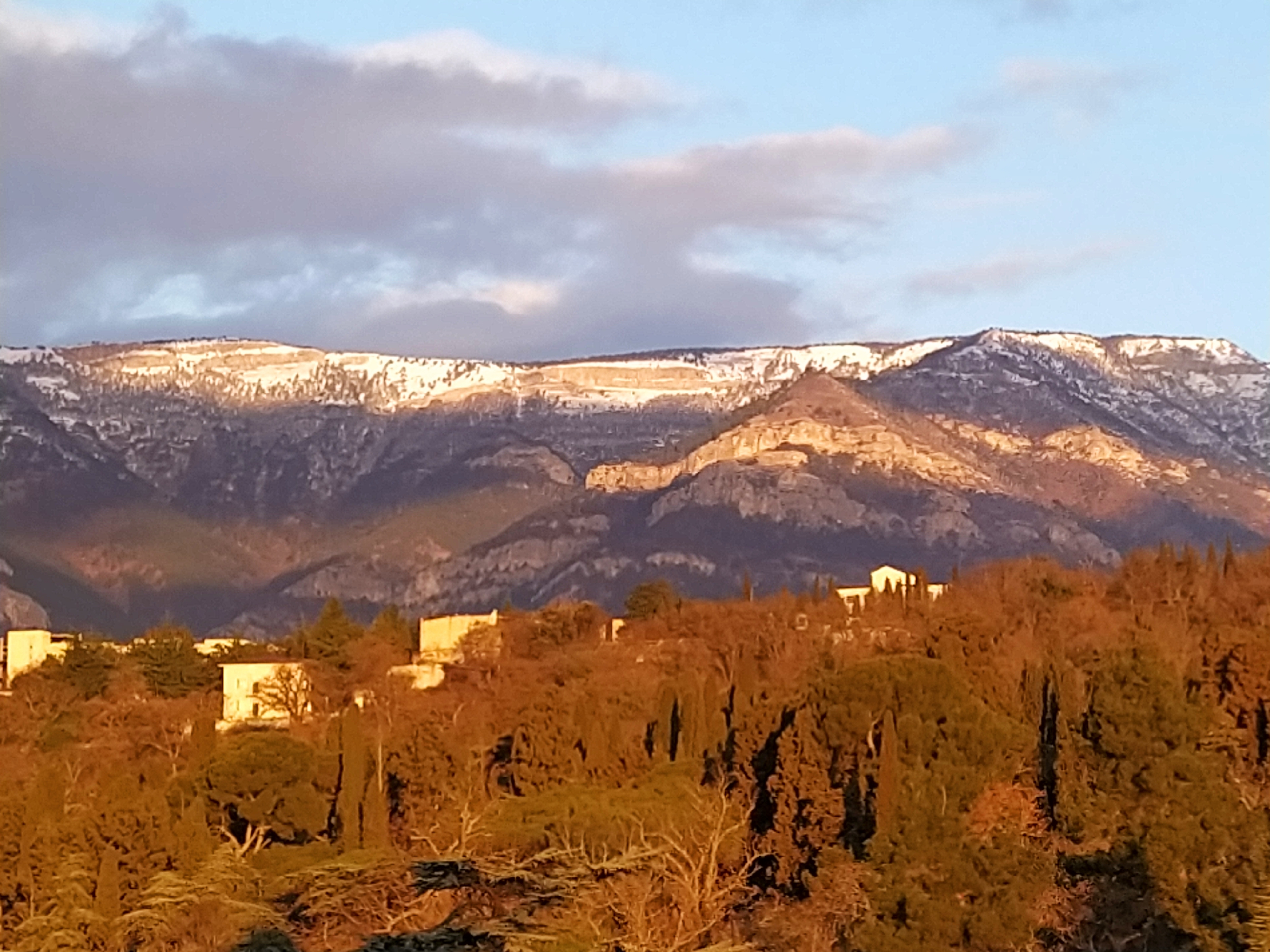 Фото участника: Елпашева Анастасия