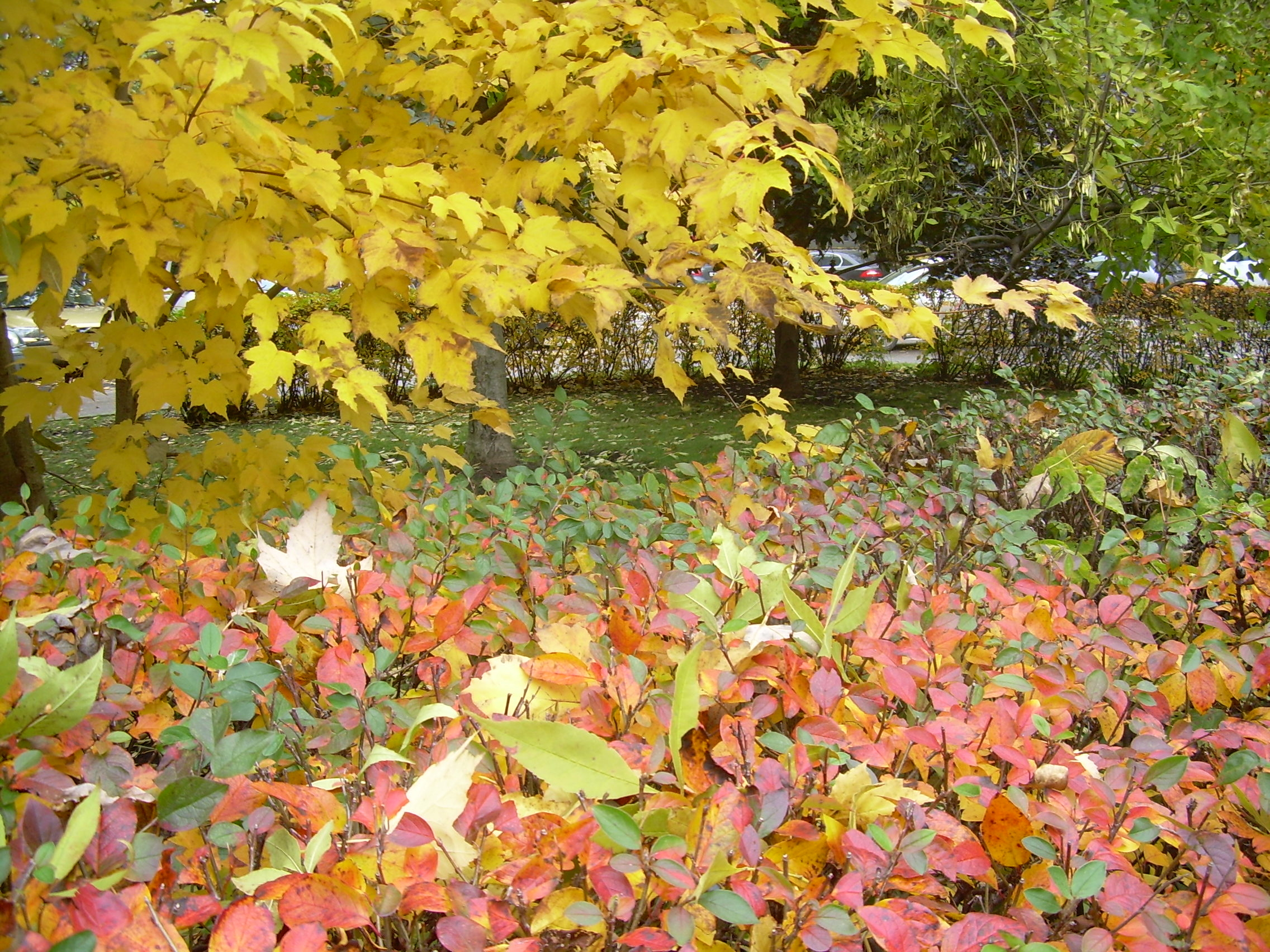 Фото участника: Попов Владимир Васильевич