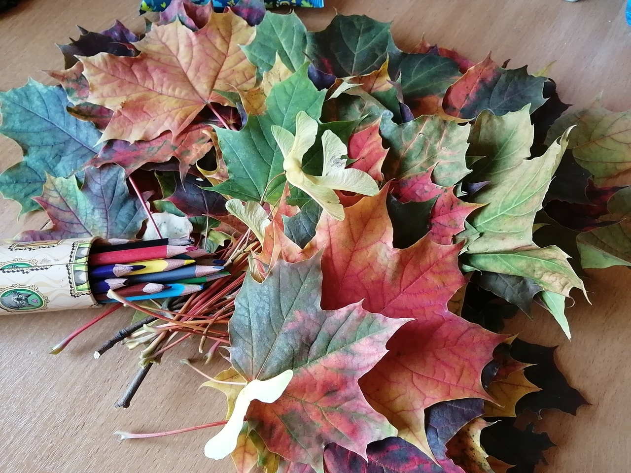 Фото участника: Бакирова Екатерина