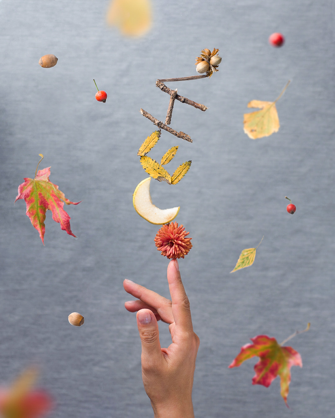 Фото участника: Анастасия Сурдина