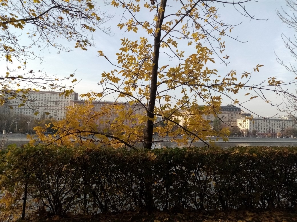 Фото участника: Лариса Плотникова