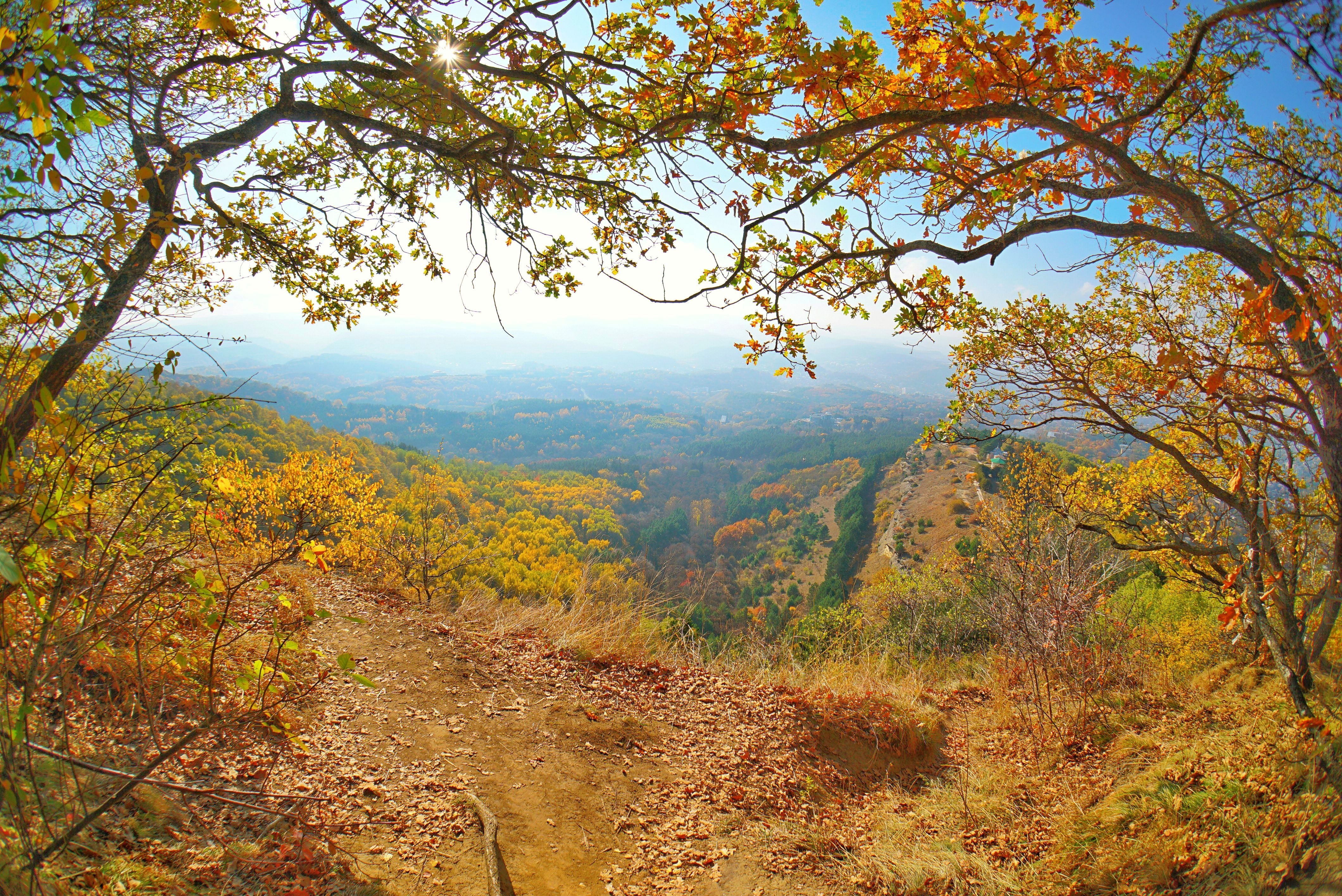 Фото участника: Алексей Ларионов