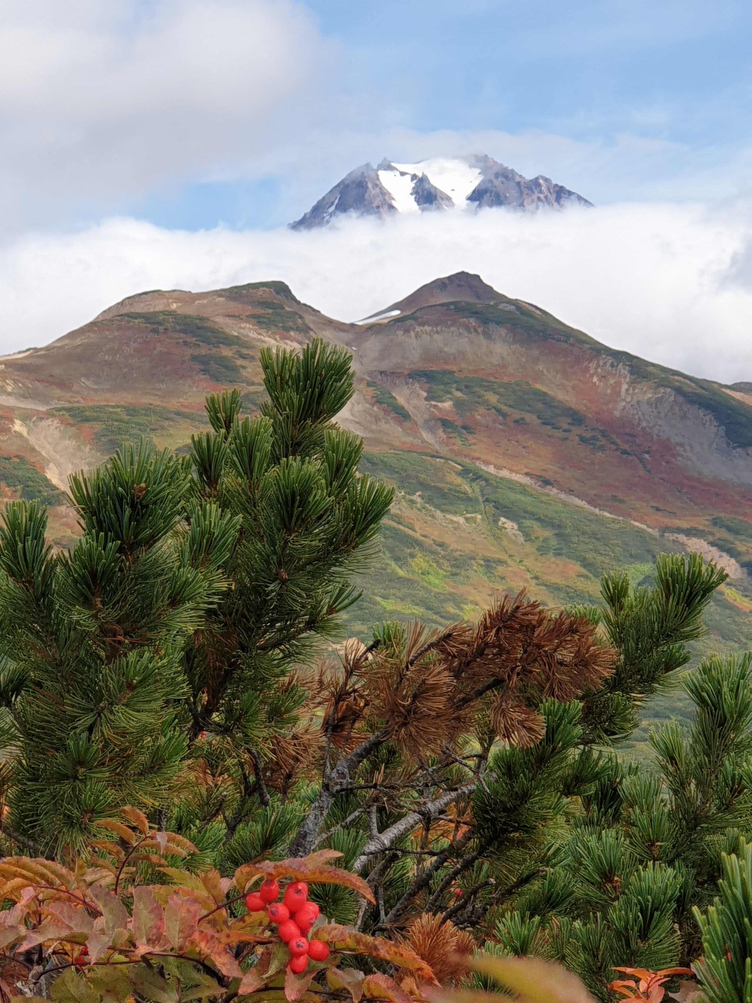 Фото участника: Геннадий Всеволодоич Зайцев