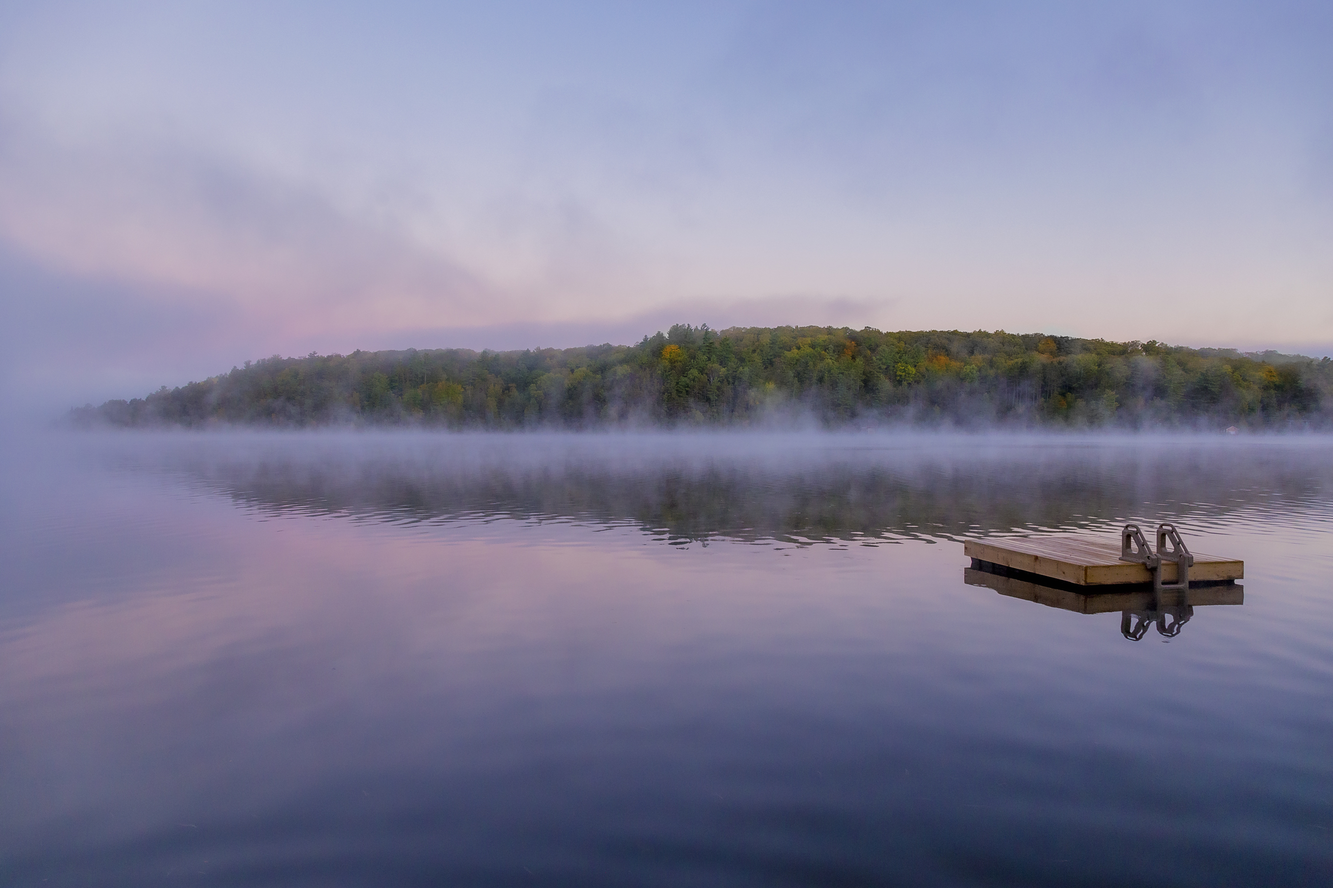 Фото участника: Olga Trishkina