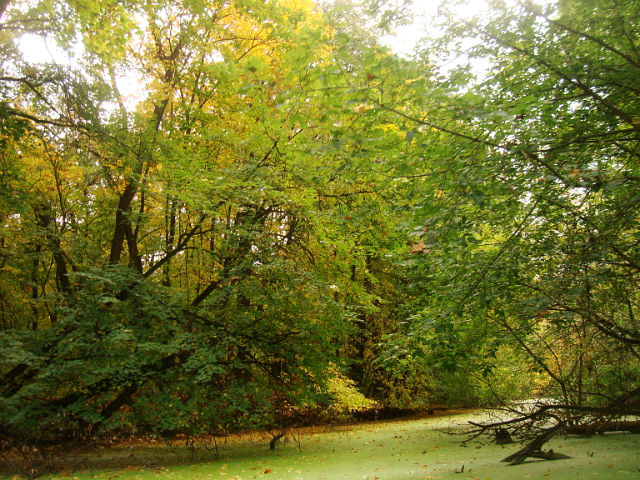 Фото участника: Наталья Лапина