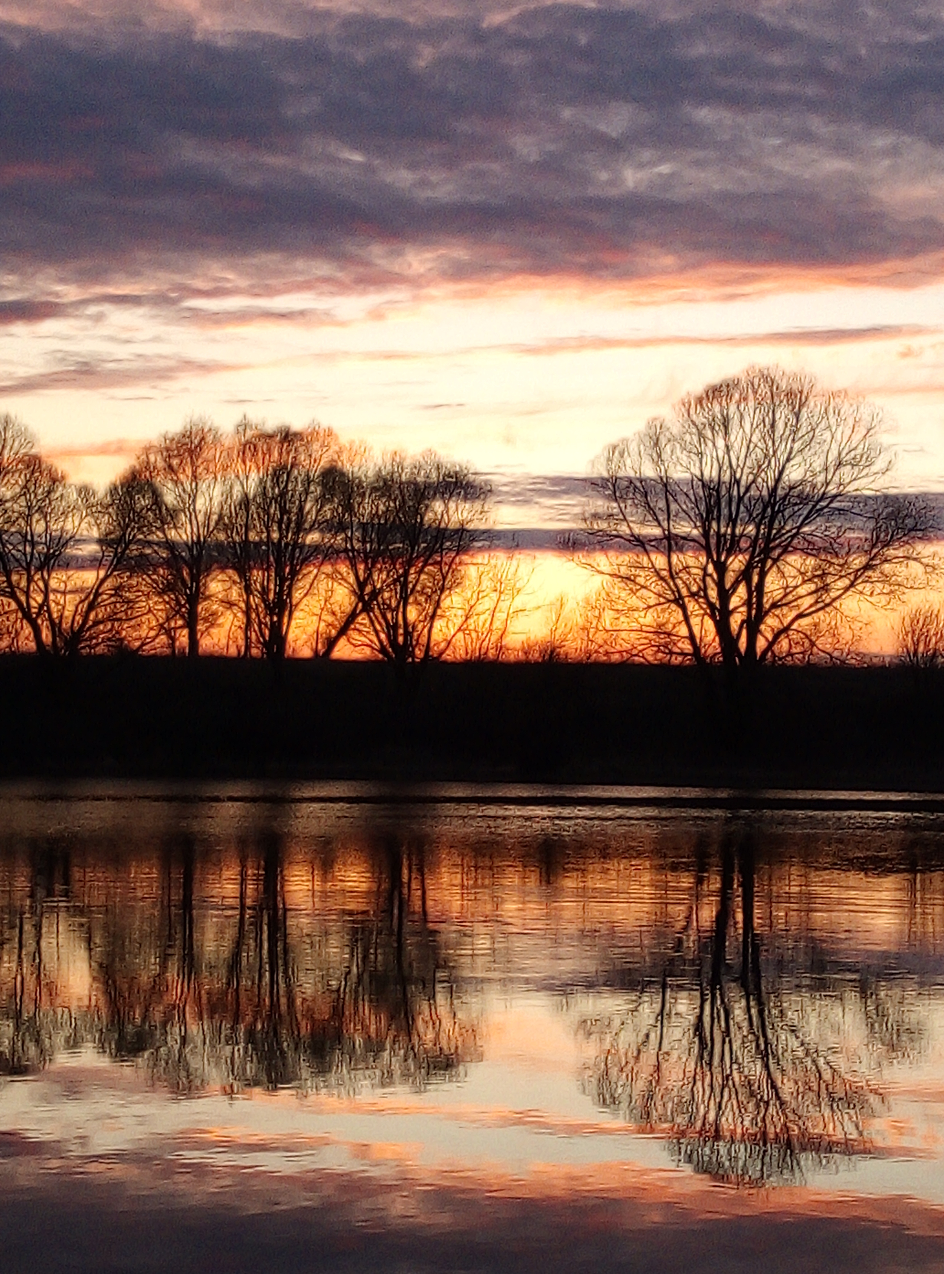 Фото участника: Лариса Леонова