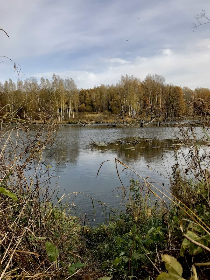 Фото участника: Андрей Батраков