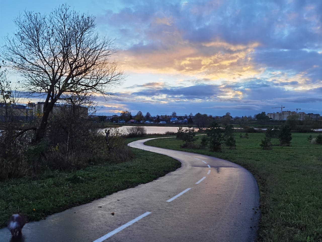 Фото участника: Николаева Екатерина