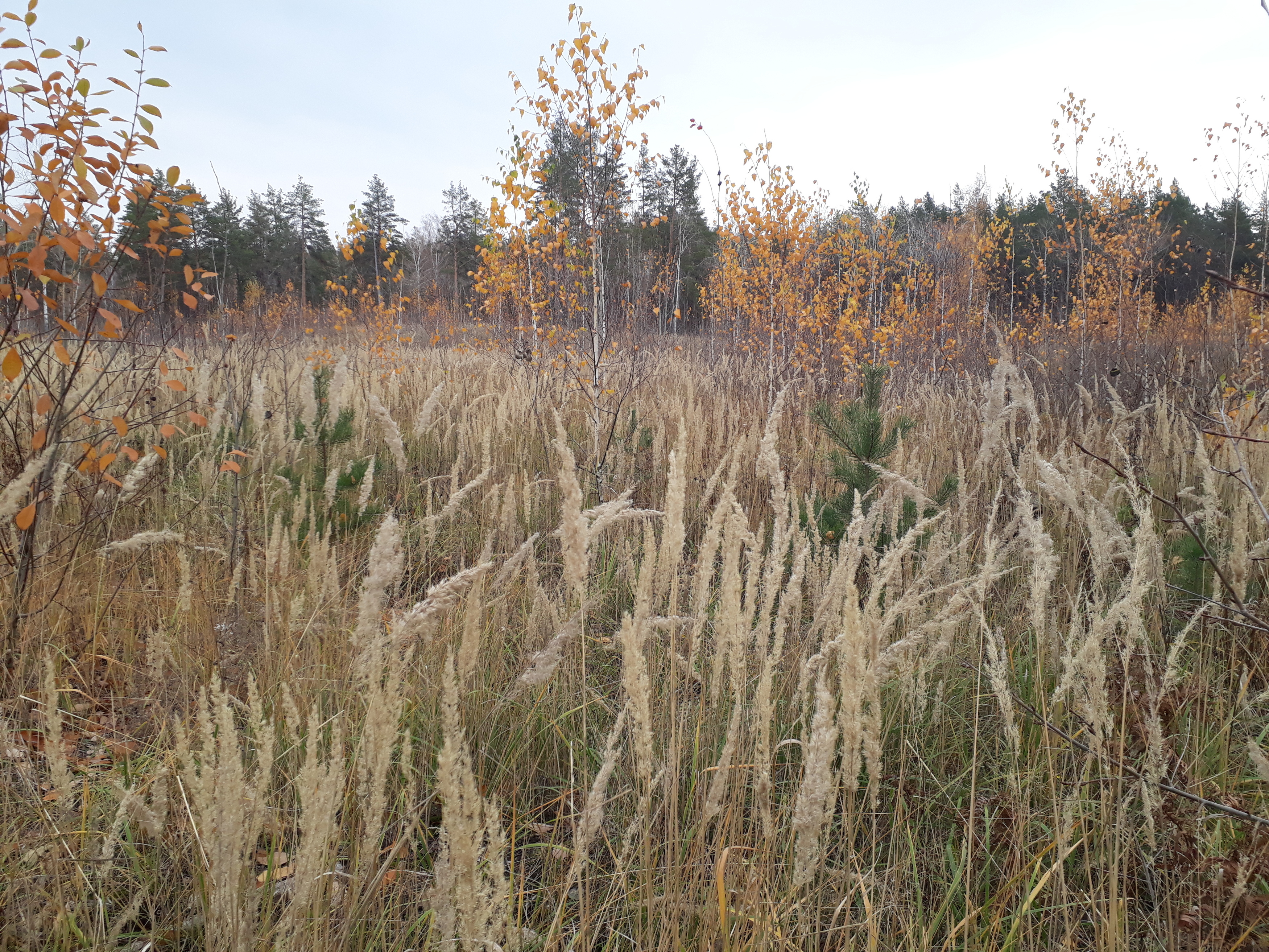 Фото участника: Маша Тихонова