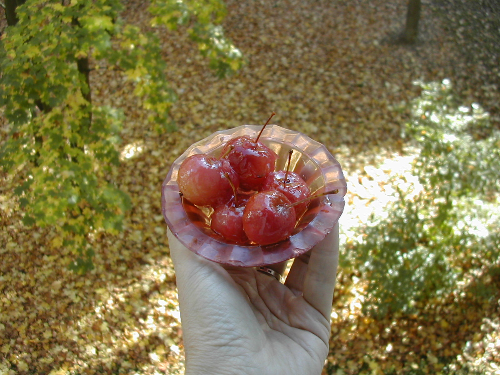 Фото участника: Ольга Кузьмук