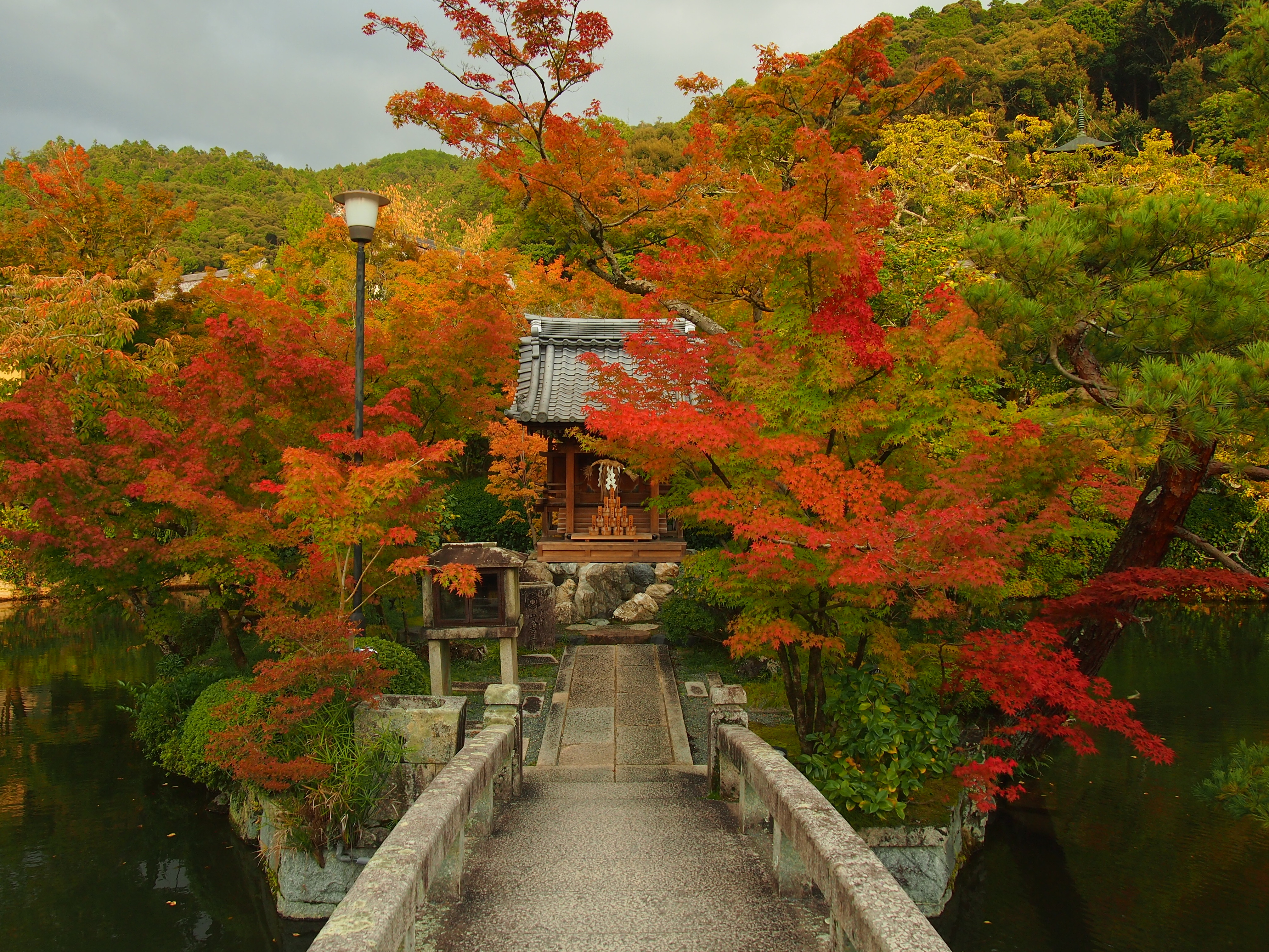 Фото участника: Лианелла Дроздова
