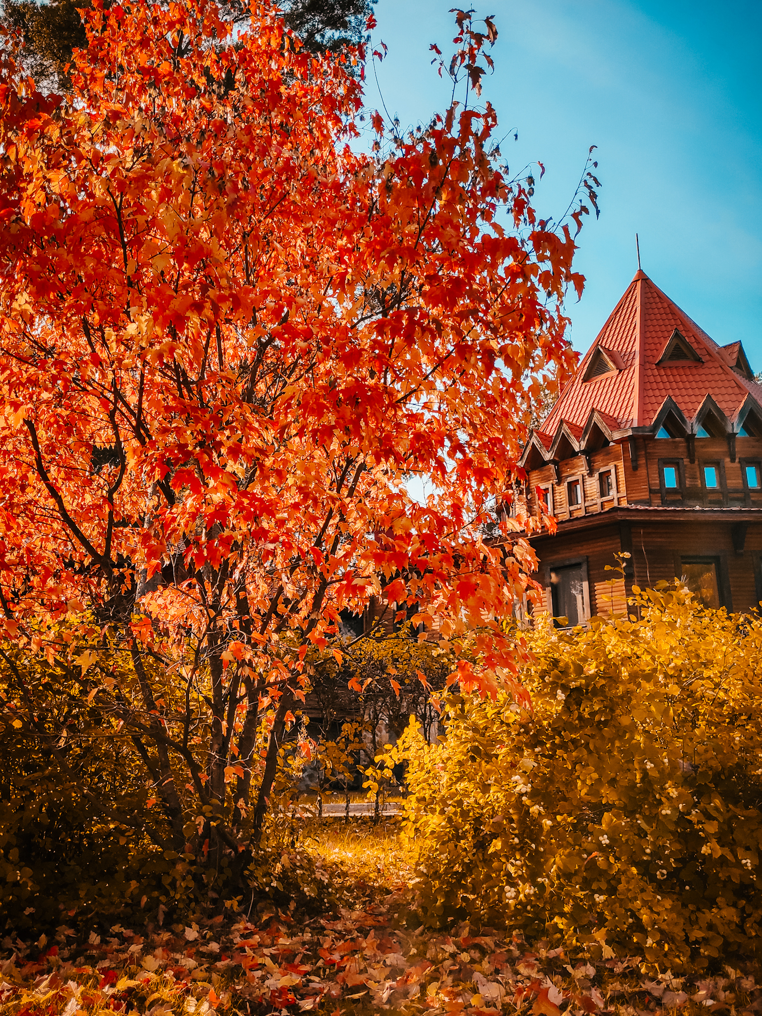 Фото участника: Наталья Матыцина